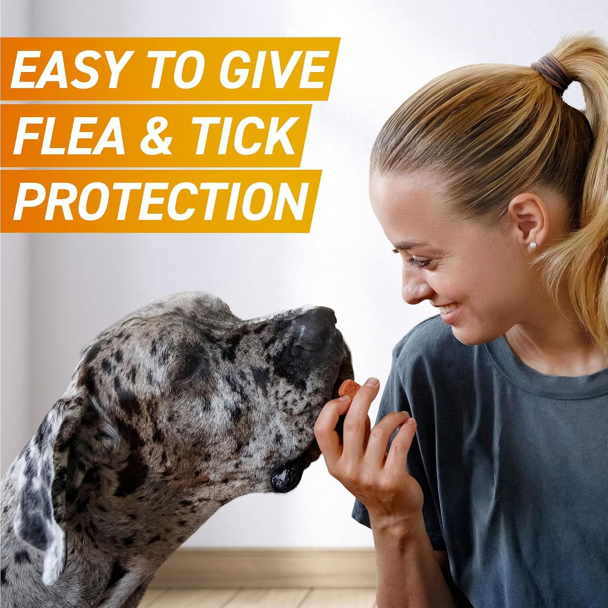FRONTPRO Chewable Tablets Flea & Tick Treatment for Dogs 3 Pack (10-25kg)