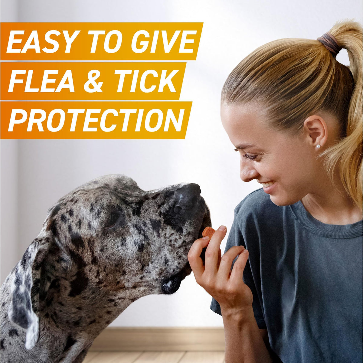 FRONTPRO Chewable Tablets Flea & Tick Treatment for Dogs 3 Pack (10-25kg)