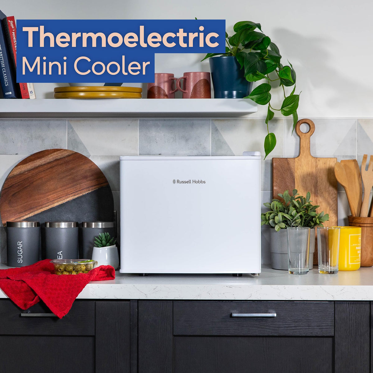 Russell Hobbs Quiet Mini Cooler 17L Thermoelectric for Drinks with Adjustable Thermostat, Portable in Black, Compact For Bedroom, Home, Caravan, Car RH17CLR1001B