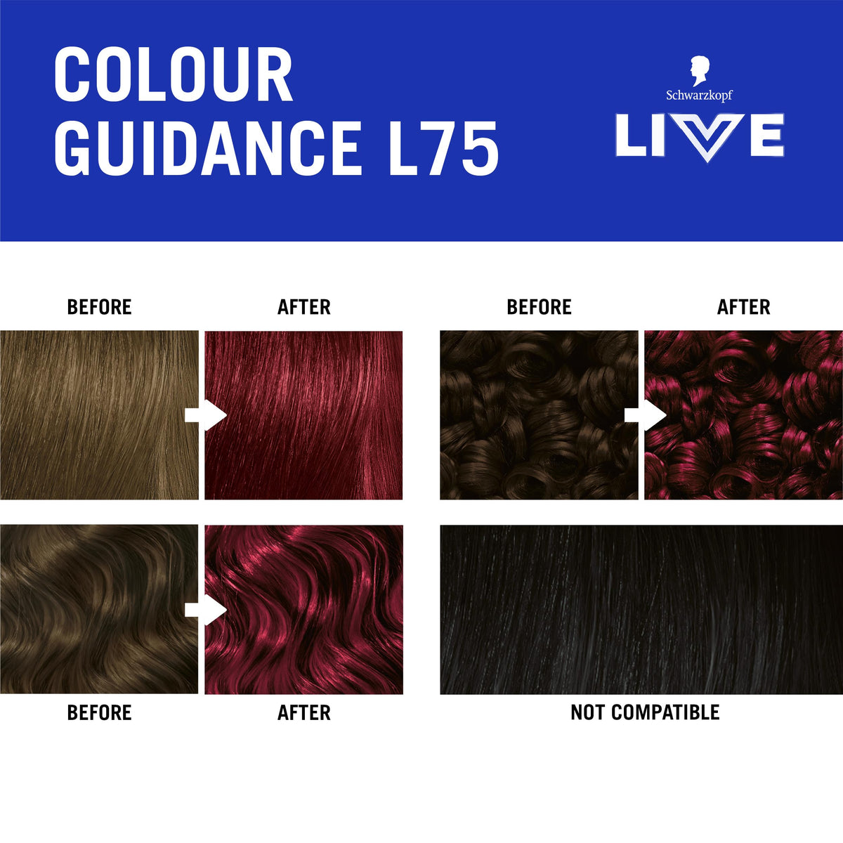 Schwarzkopf LIVE Intense Colour Hair Dye, 099 Deep Black