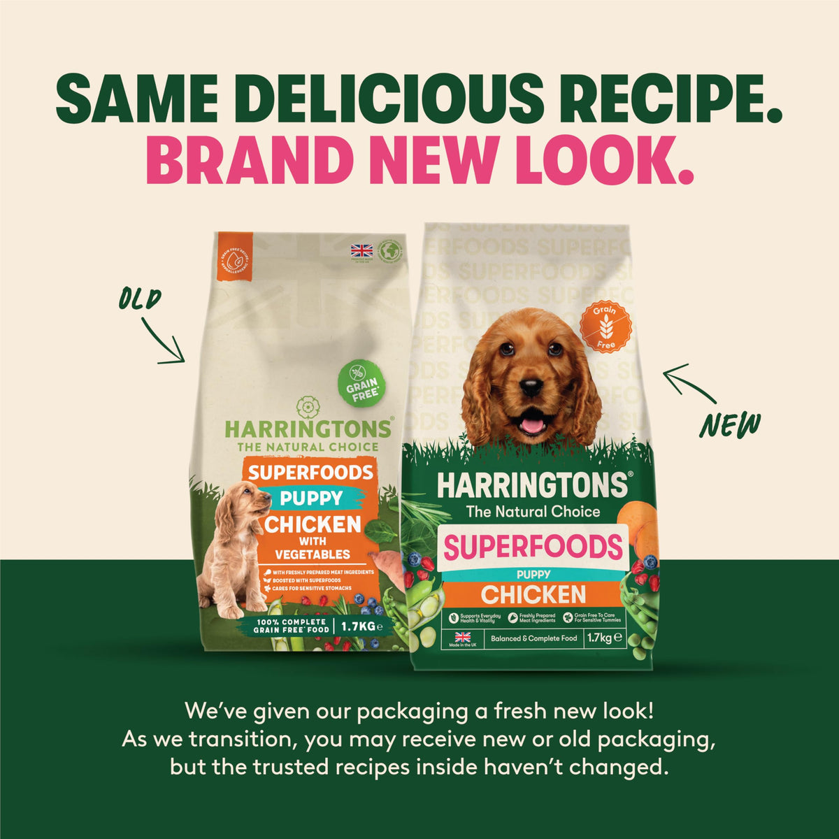 Harringtons Superfoods Complete Grain Free Dry Adult Dog Food Salmon with Veg 12kg - Made with All Natural Ingredients (Packaging may vary)