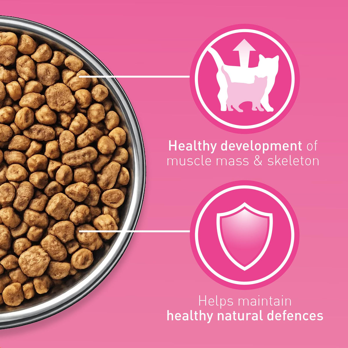PURINA ONE BIFENSIS Dry Food for Adult Cats, Rich in Chicken, 1 Pack (1 x 5.7 kg)