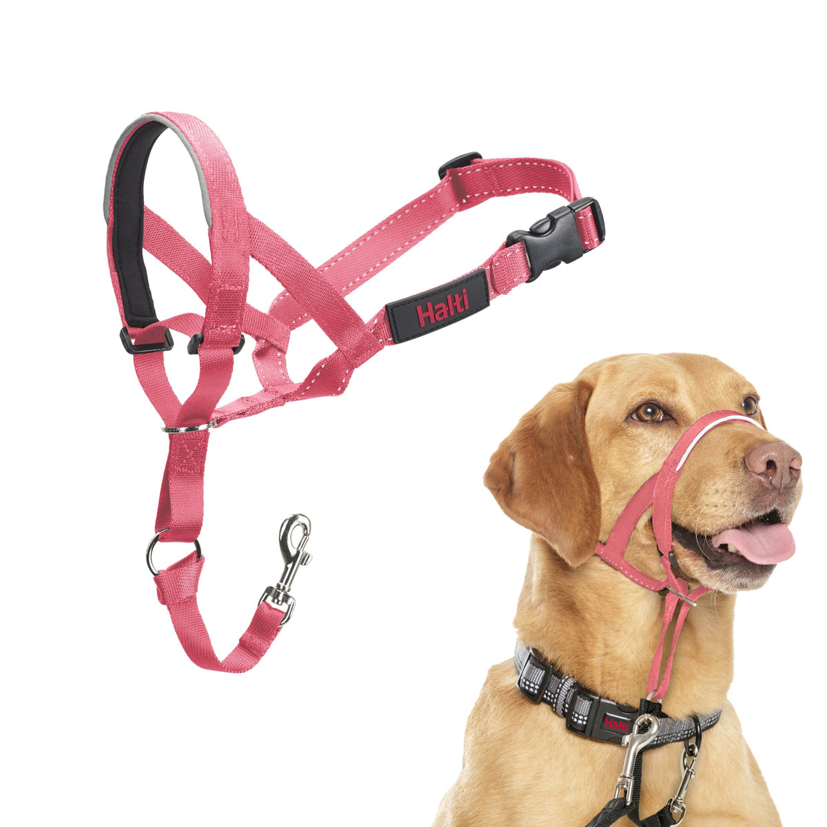 Halti Headcollar for Dogs | Size 3, Black
