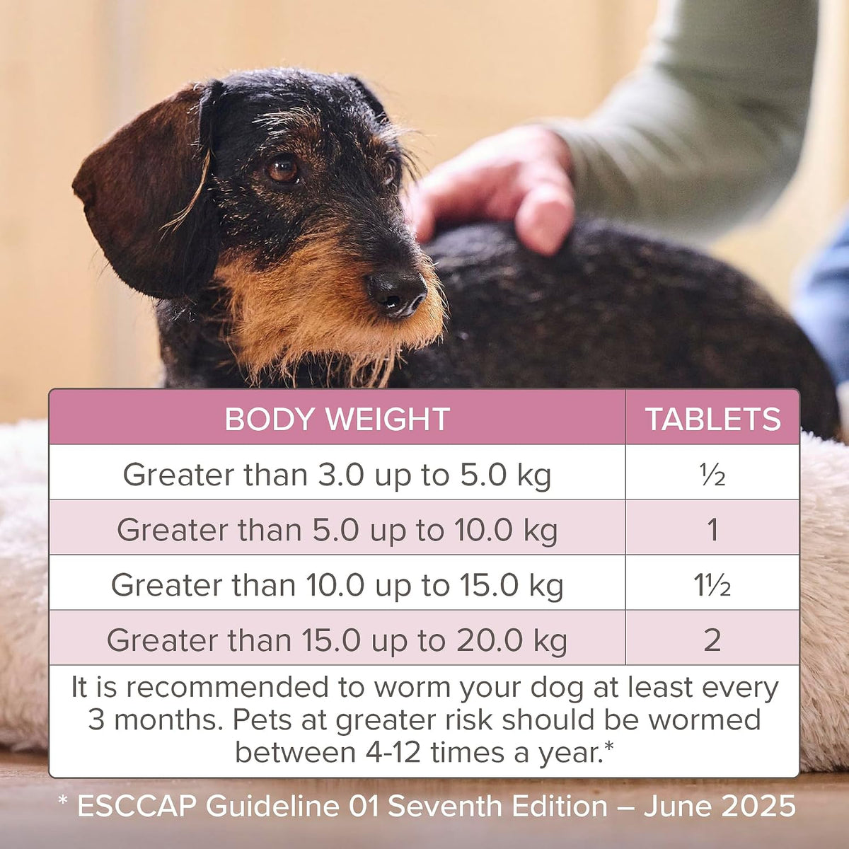 Beaphar - WORMclear® Tablets for Dogs up to 20kg - 2 Tablets - Kills All Common UK Intestinal Worms (Roundworms & Tapeworms) - Vet Strength Wormer - Pork-Flavoured - For dogs over 2 weeks old & 3kg