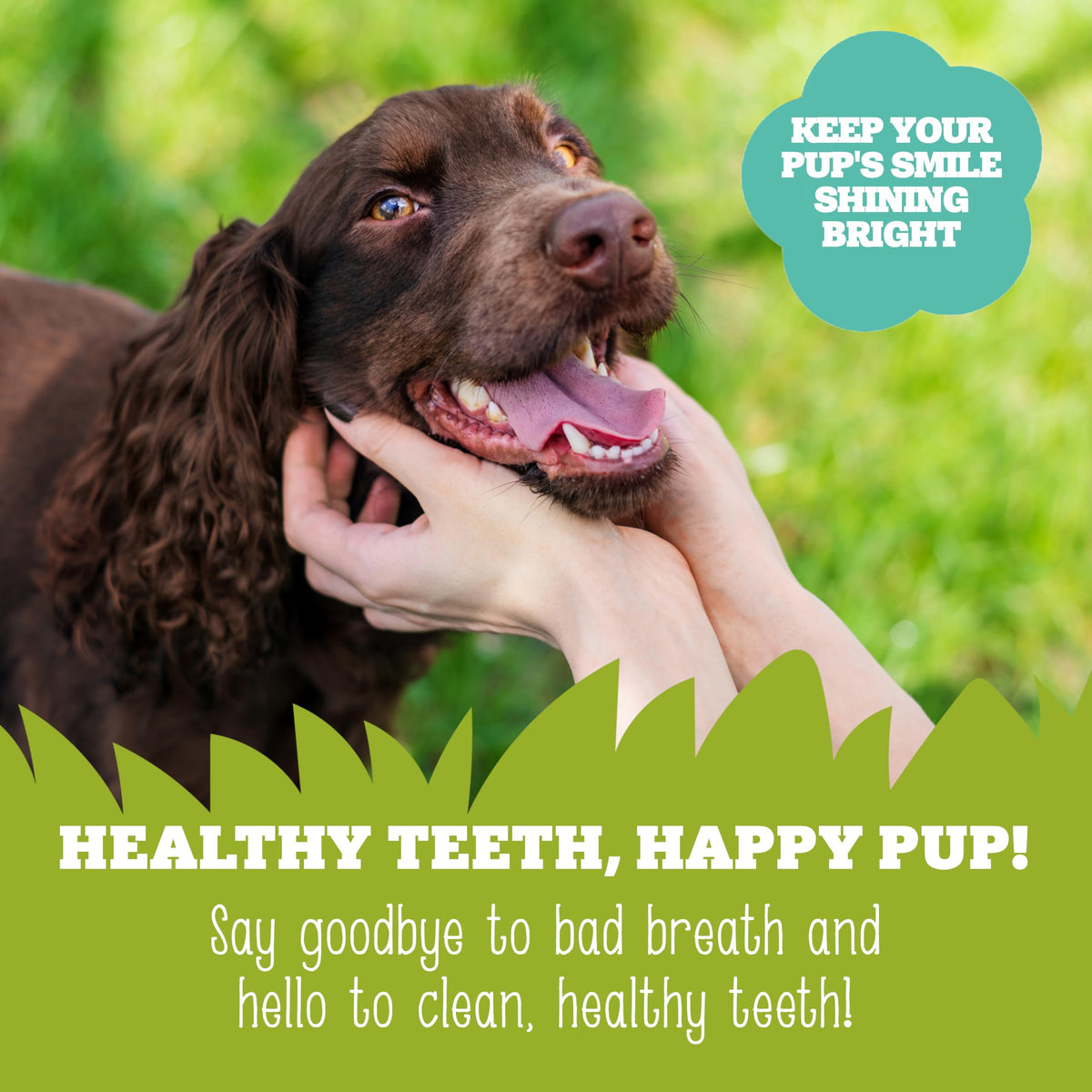 Soopa Carrot & Pumpkin Dog Dental Sticks, Chews to Clean Teeth, 100 g, 1-Pk