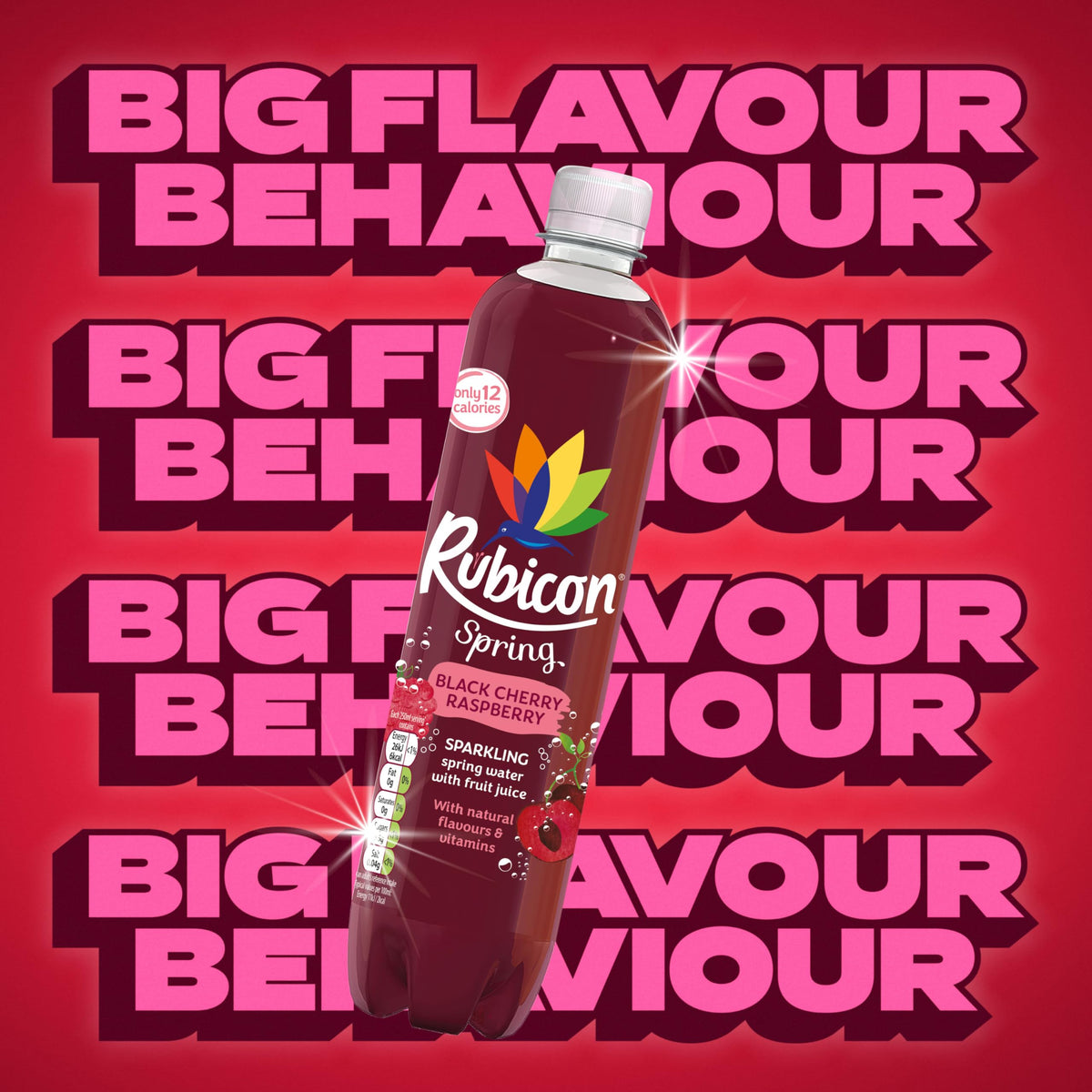 Rubicon Spring Black Cherry Raspberry Flavoured Water, 12 Pack, 330ml Cans