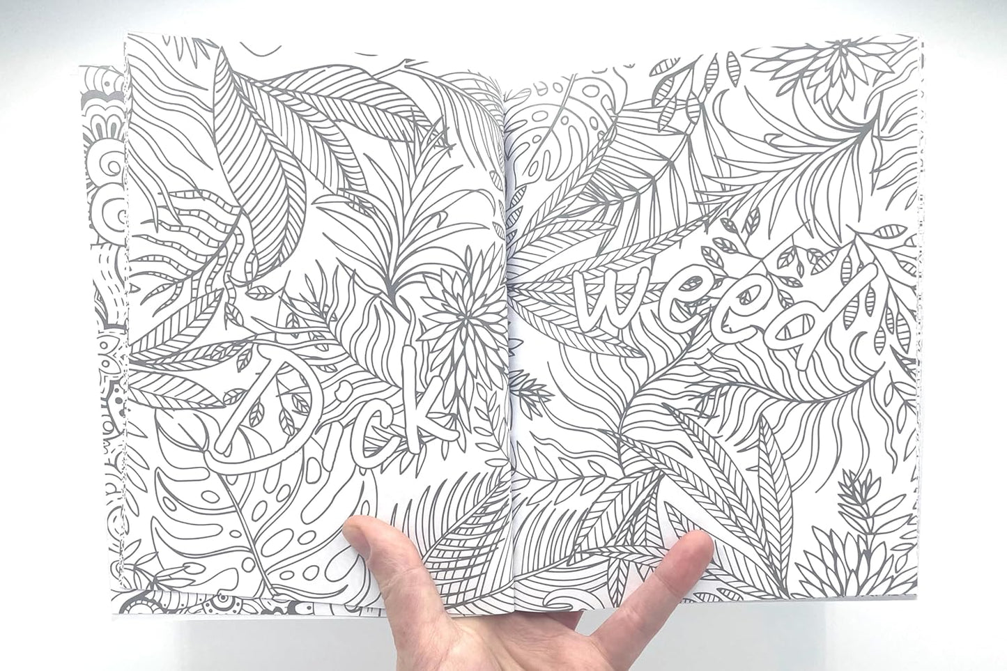 Colouring for C*nts: A Crude Colouring Book for Adults