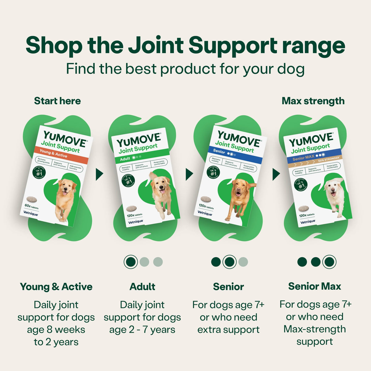 YuMOVE Joint Supplement for Dogs, Higher Strength for Joint Care, Essential Dog Hip and Joint Support for Adult Dogs Aged 6 to 8, 120 Tablets - Eco Friendly and Letter Box Ready Packaging