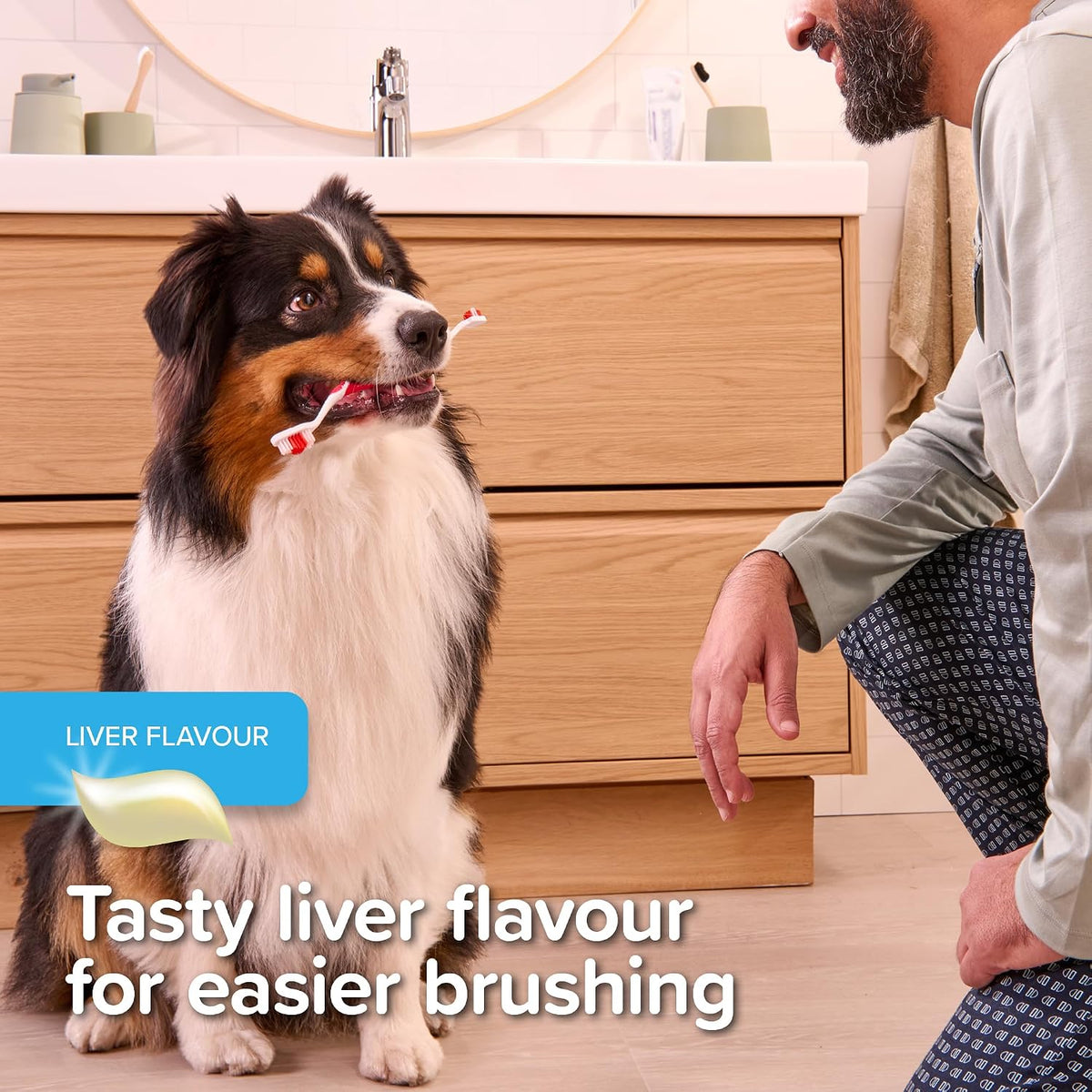 Beaphar - Liver Flavour Toothpaste with Enzymes - Dental Care for Cats & Dogs - Helps Control Plaque and Tartar, and Freshen Breath - Supports Normal Gum Function – Fluoride & Xylitol-Free - 100g Tube