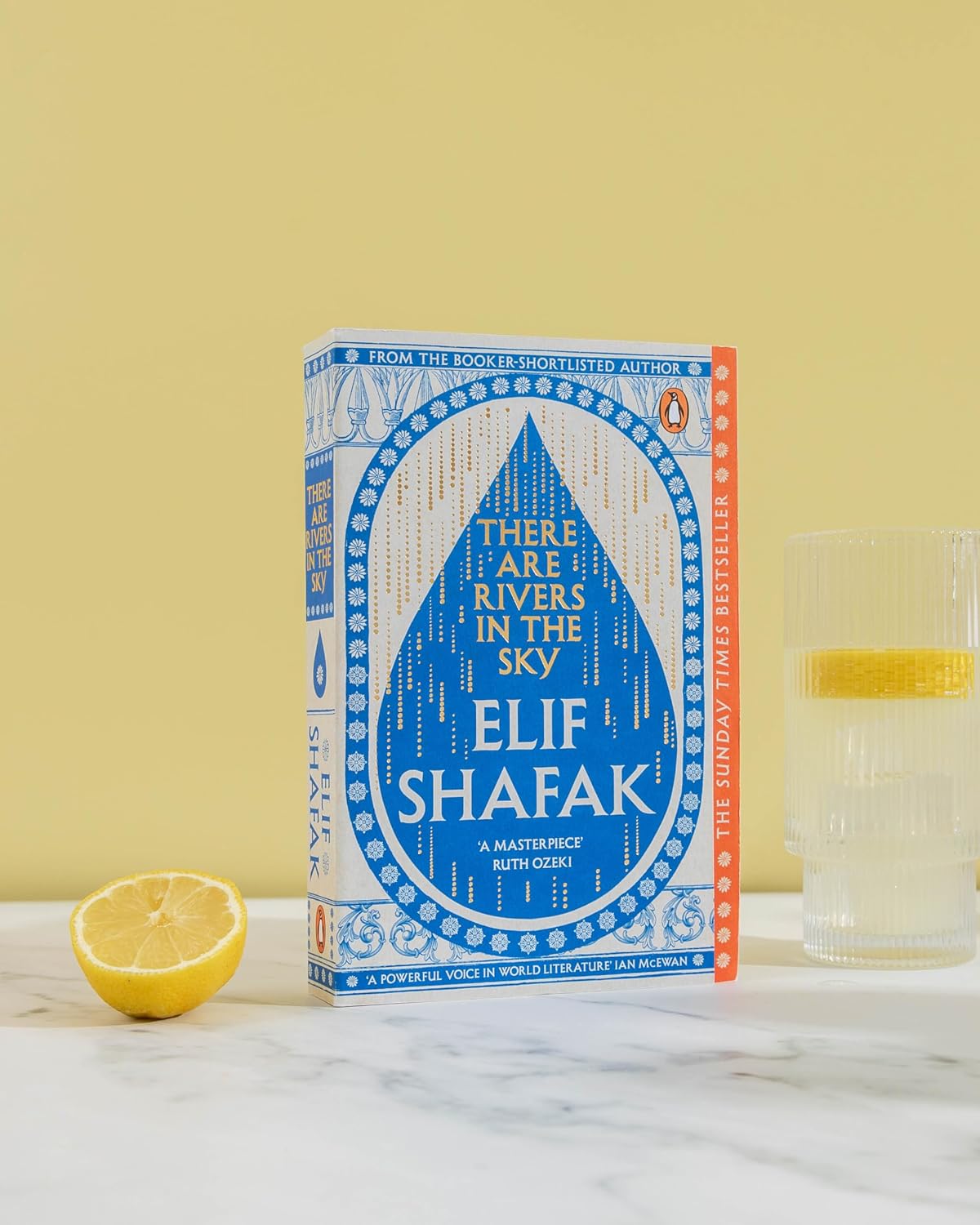 There are Rivers in the Sky: The beautiful Sunday Times bestseller from the author of The Island of Missing Trees & BBC Between the Covers Book Club pick