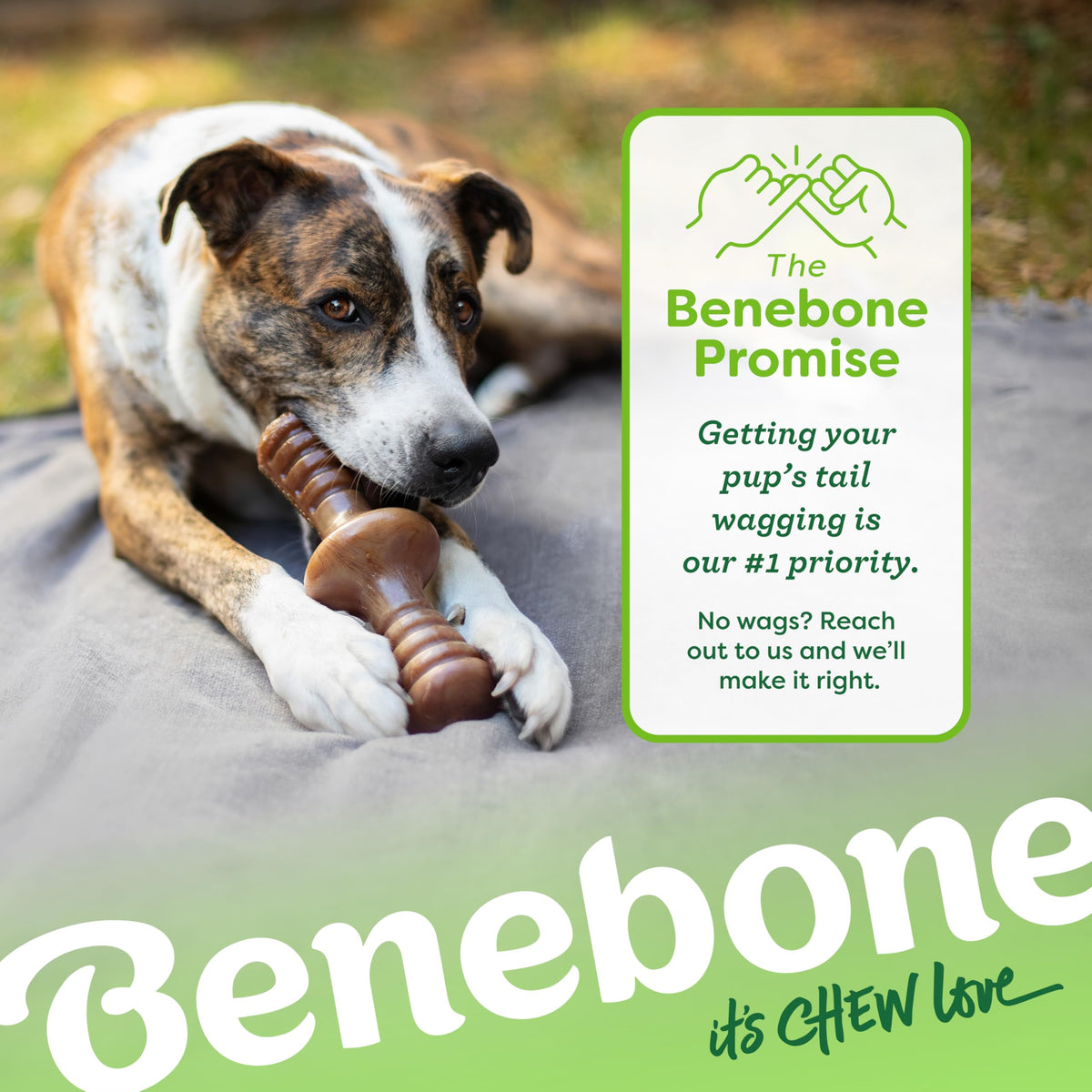 Benebone Wishbone Dog Chew Toy for Aggressive Chewers, Real Bacon, Medium