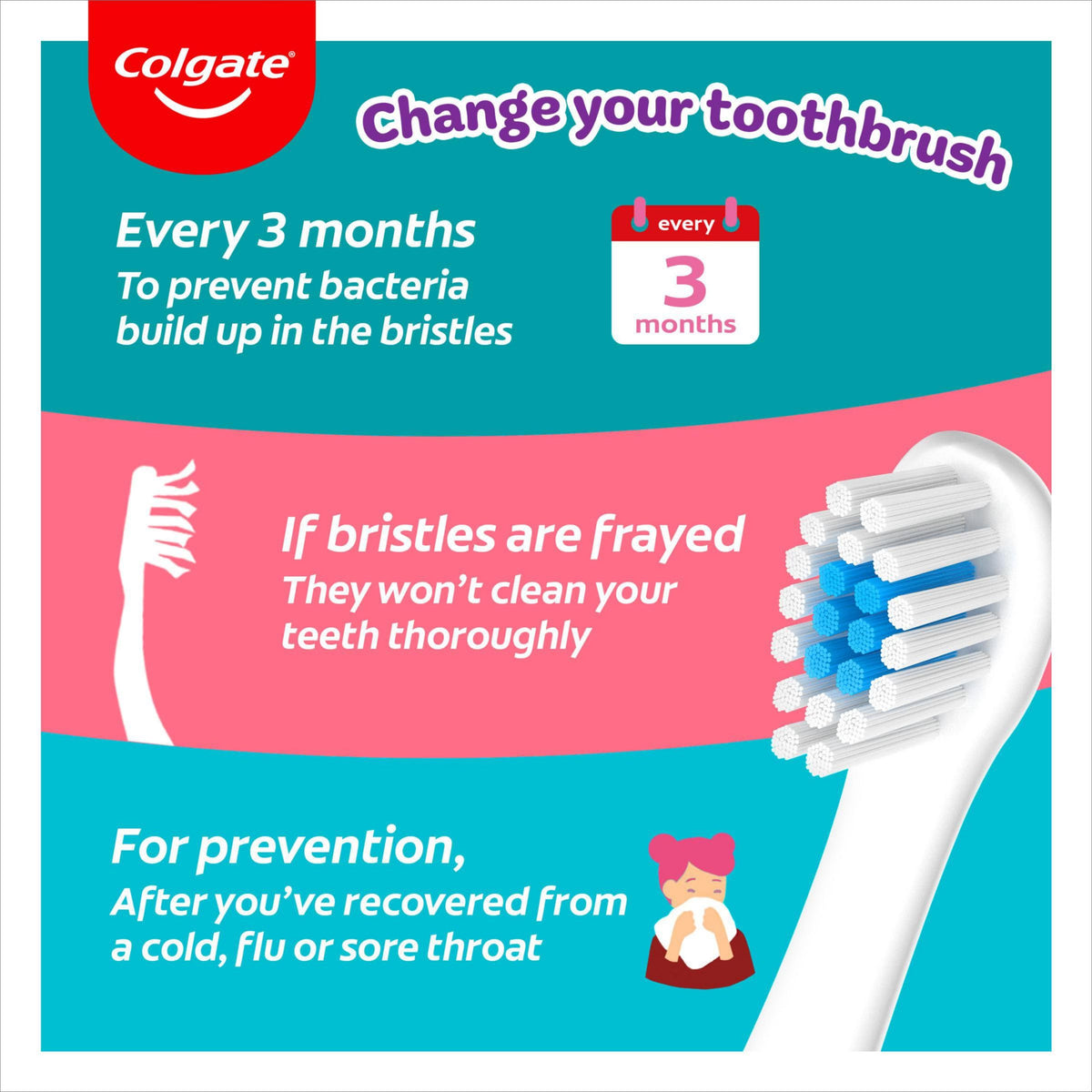 Colgate Kids Bluey Toothbrush 3-5 Years, 2 Pack