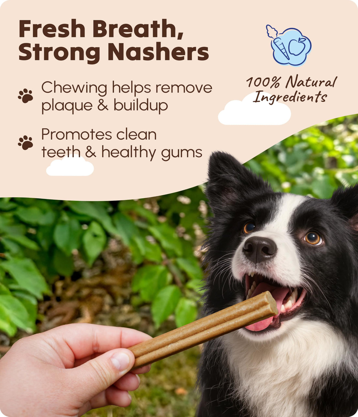 Soopa Carrot & Pumpkin Dog Dental Sticks, Chews to Clean Teeth, 100 g, 1-Pk