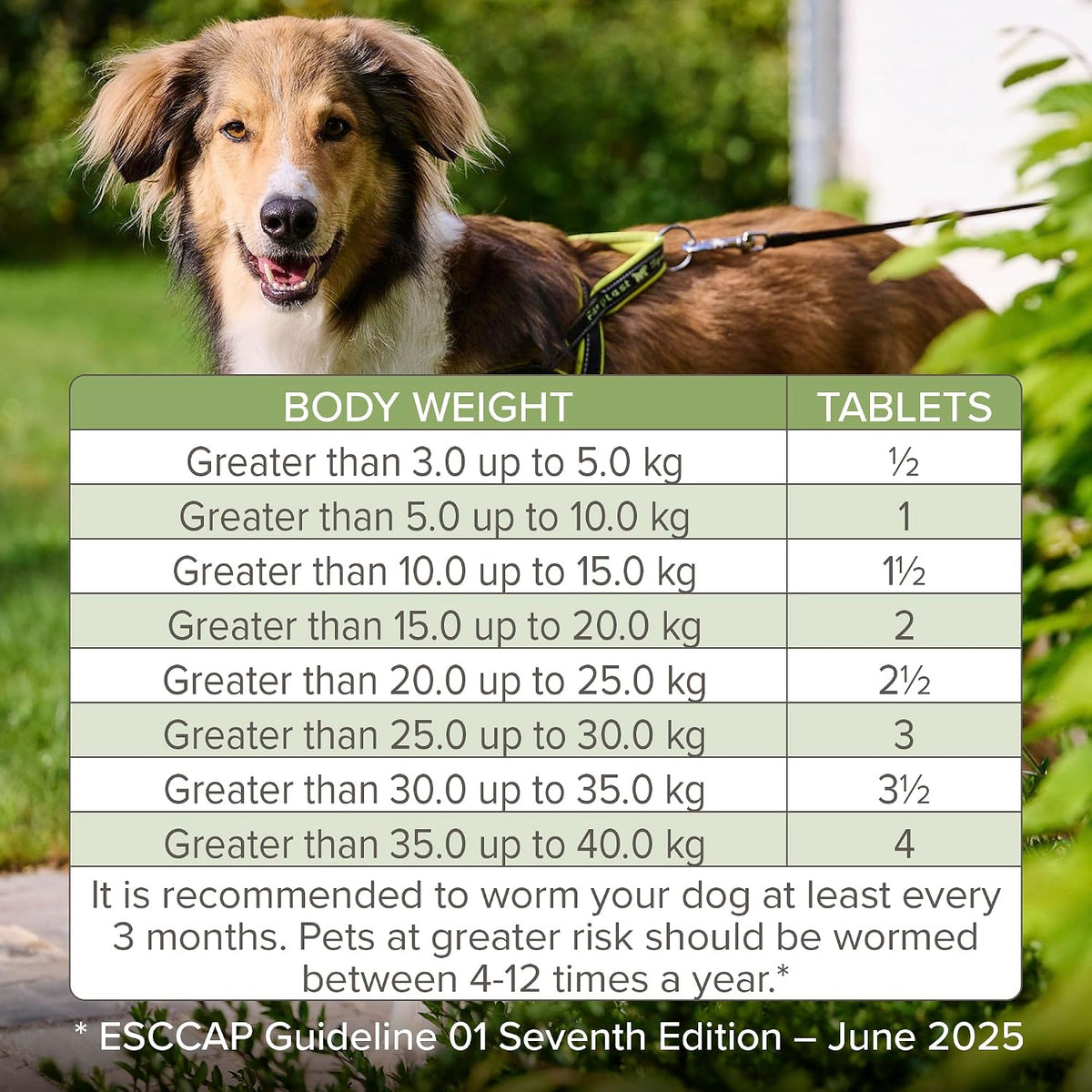 Beaphar - WORMclear® Tablets for Dogs up to 40kg - 4 Tablets - Kills All Common UK Intestinal Worms (Roundworms & Tapeworms) - Vet Strength Wormer - Pork-Flavoured - For dogs over 2 weeks old & 3kg