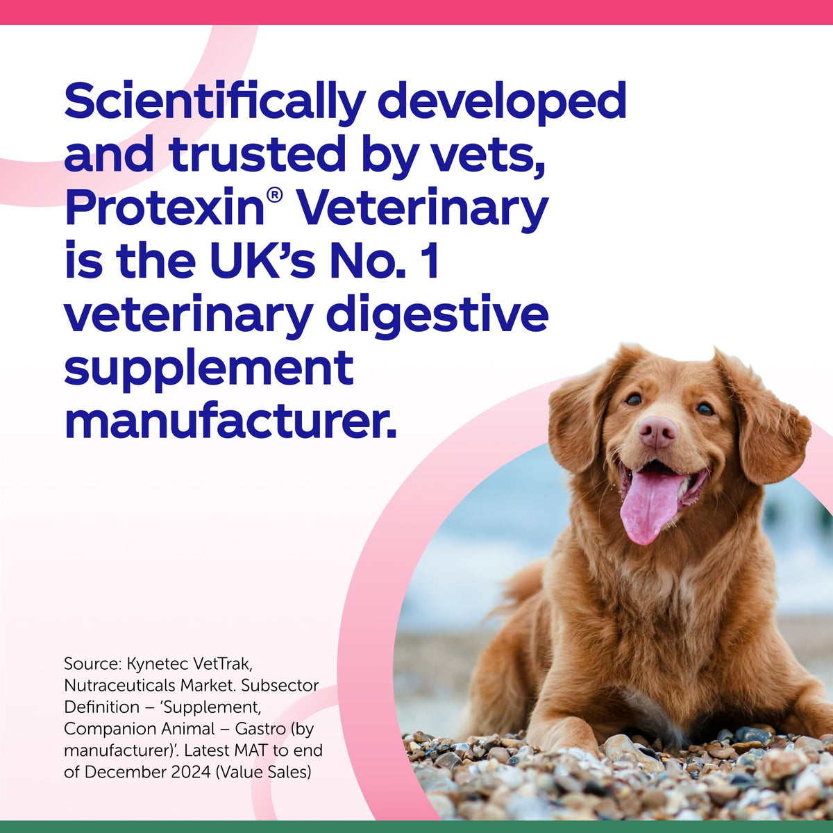 Protexin Denamarin Medium Dog 30 Tablets