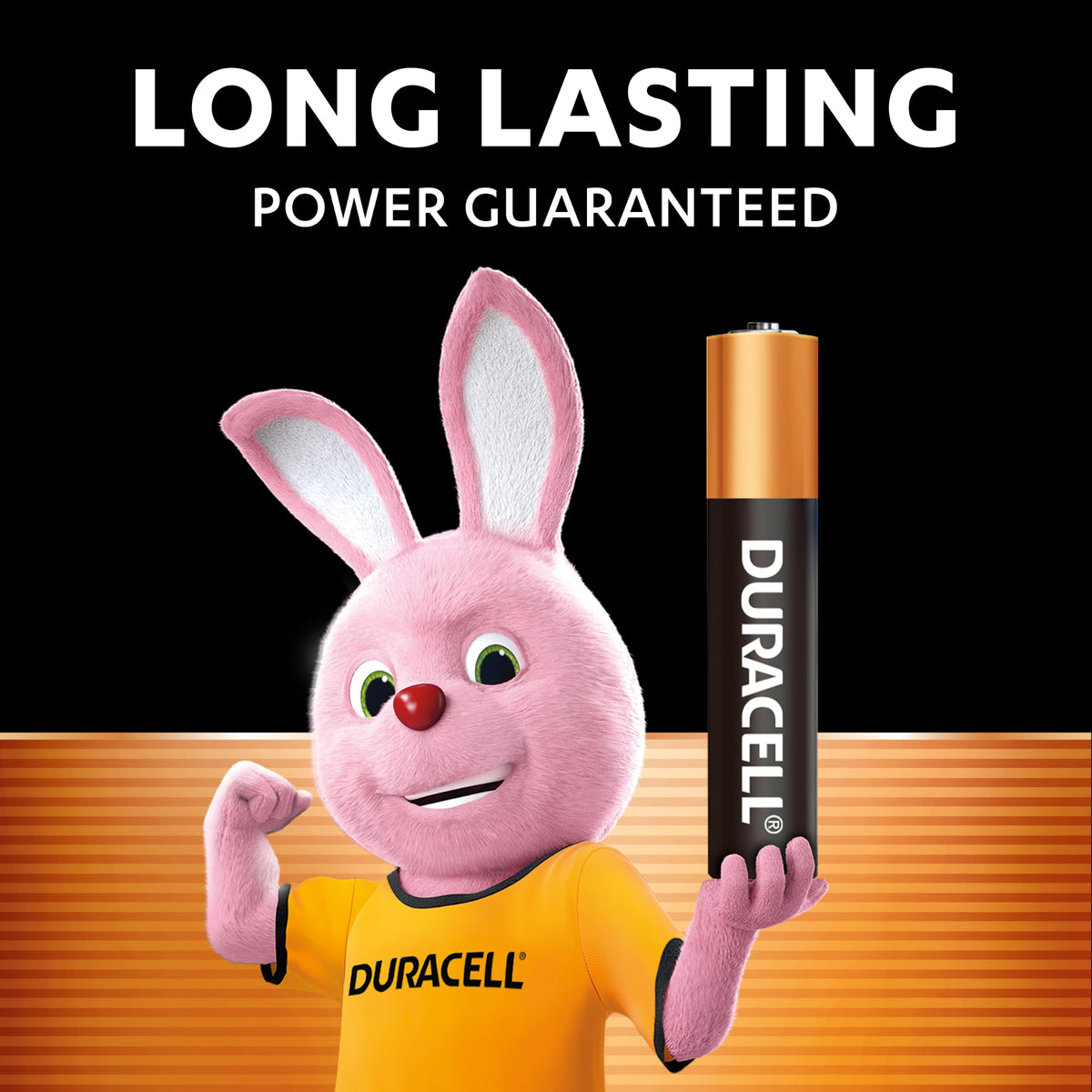 DURACELL 2025 Lithium Coin Batteries (4 Pack) 3V, CR2025