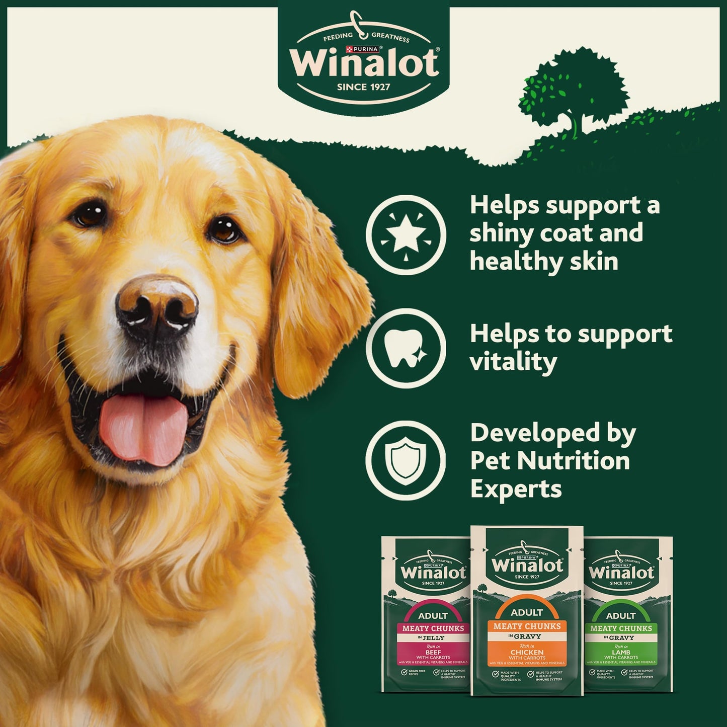 WINALOT Sunday Dinner Mixed in Gravy Wet Dog Food Pouches 40x100g