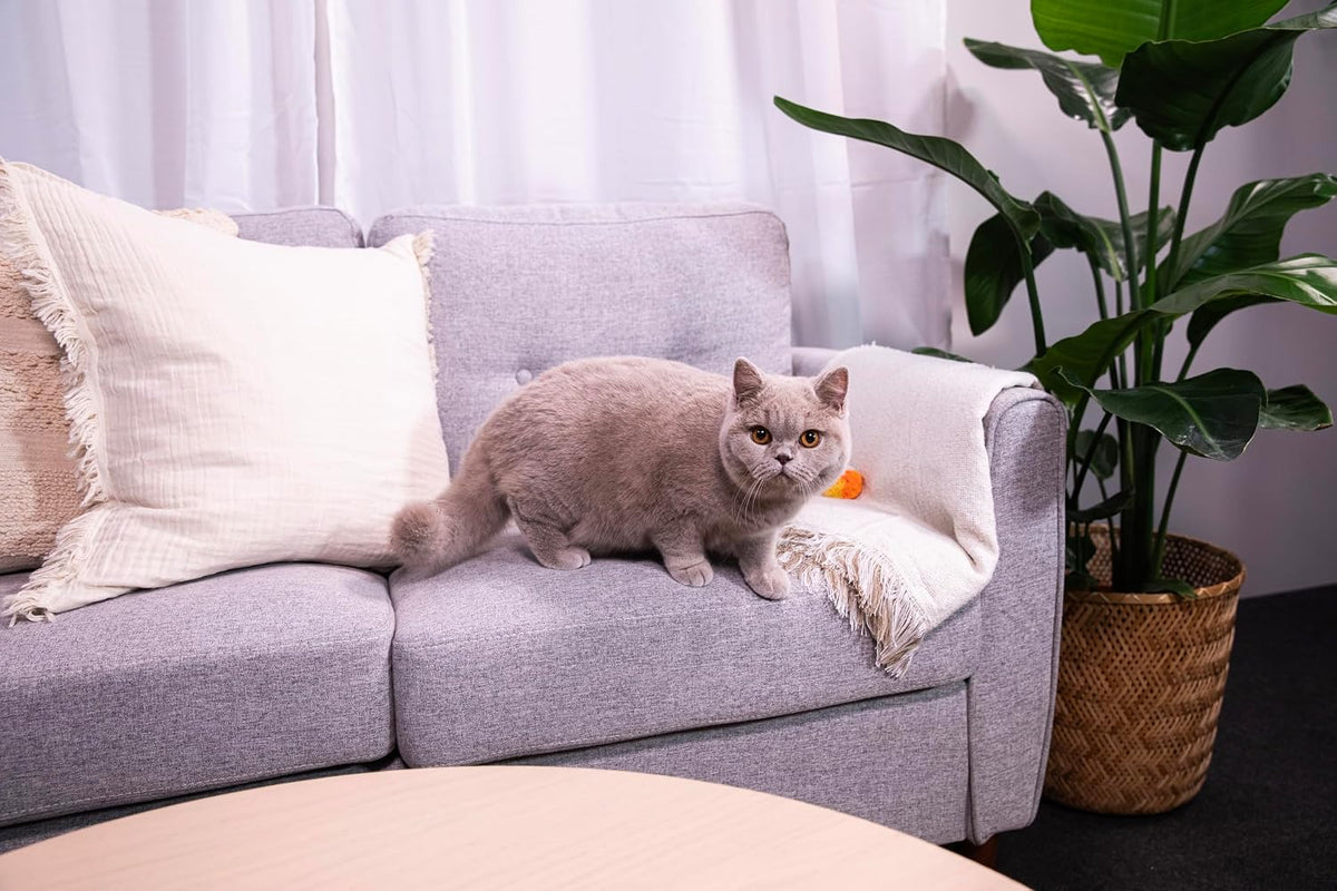 Sanicat - Classic Fragrance-Free cat litter 10L capacity