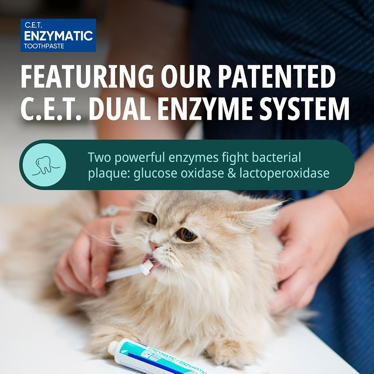 Virbac CET Enzymatic Toothpaste for Dogs - Control Bacteria & Reduce Plaque | Poultry Flavour | 70G