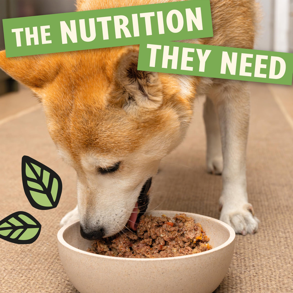 Lily's Kitchen Natural Adult Dog Food Wet Trays - Classic Dinners Multipack - Chicken, Lamb & Beef - Complete Meal Recipes (6 Trays x 150g)