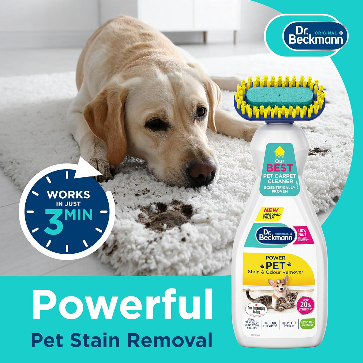 Dr. Beckmann Pet Stain & Odour Remover, Eliminates stains and odours caused by pets, incl. applicator brush, 650 ml