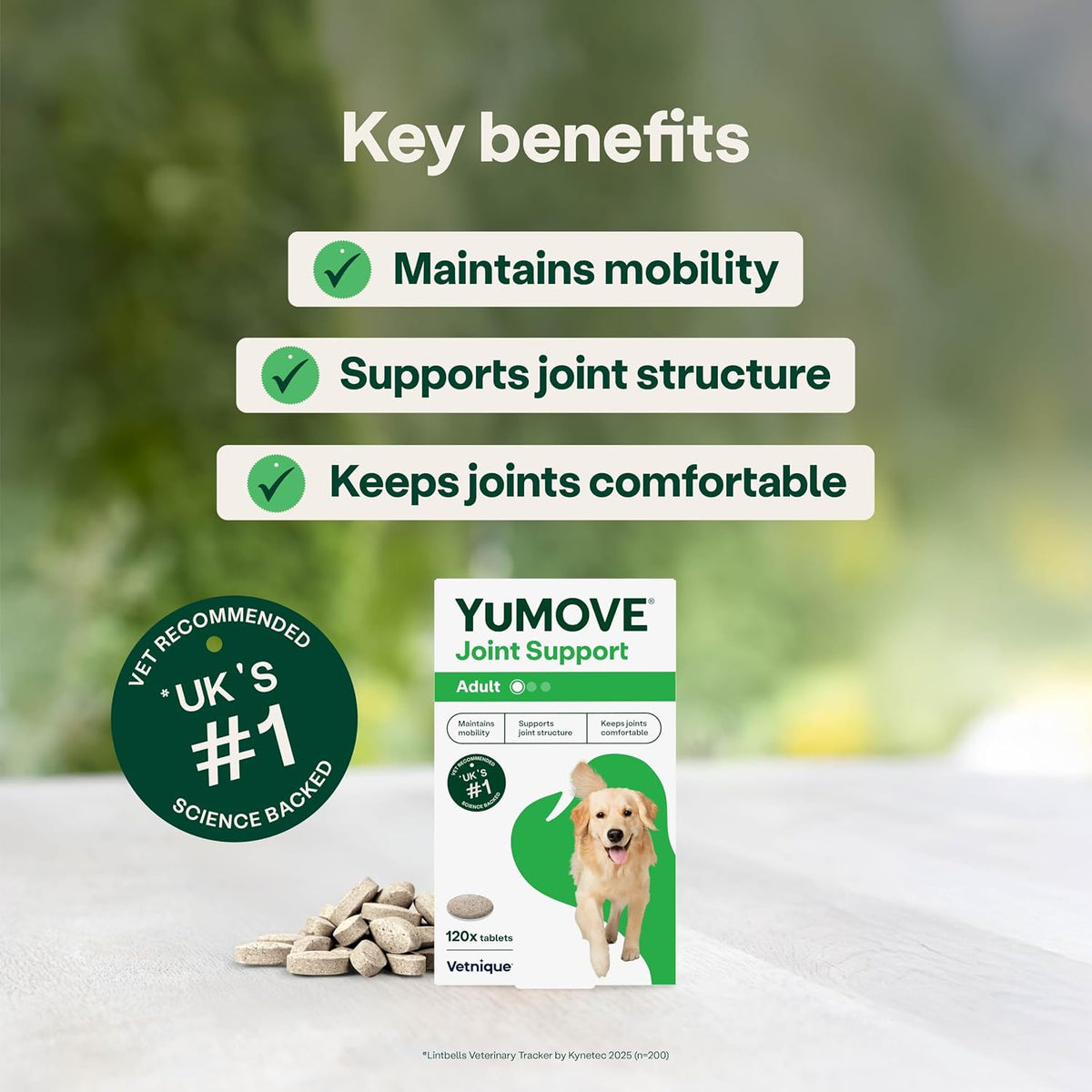 YuMOVE Joint Supplement for Dogs, Higher Strength for Joint Care, Essential Dog Hip and Joint Support for Adult Dogs Aged 6 to 8, 120 Tablets - Eco Friendly and Letter Box Ready Packaging