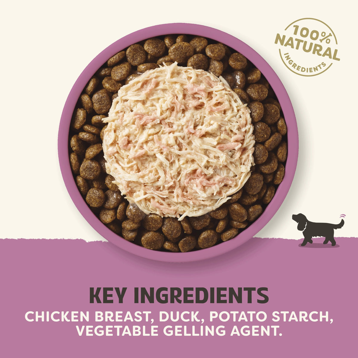 Applaws Natural Wet Dog Food Topper, Chicken Selection in Broth, 8x156g Tin