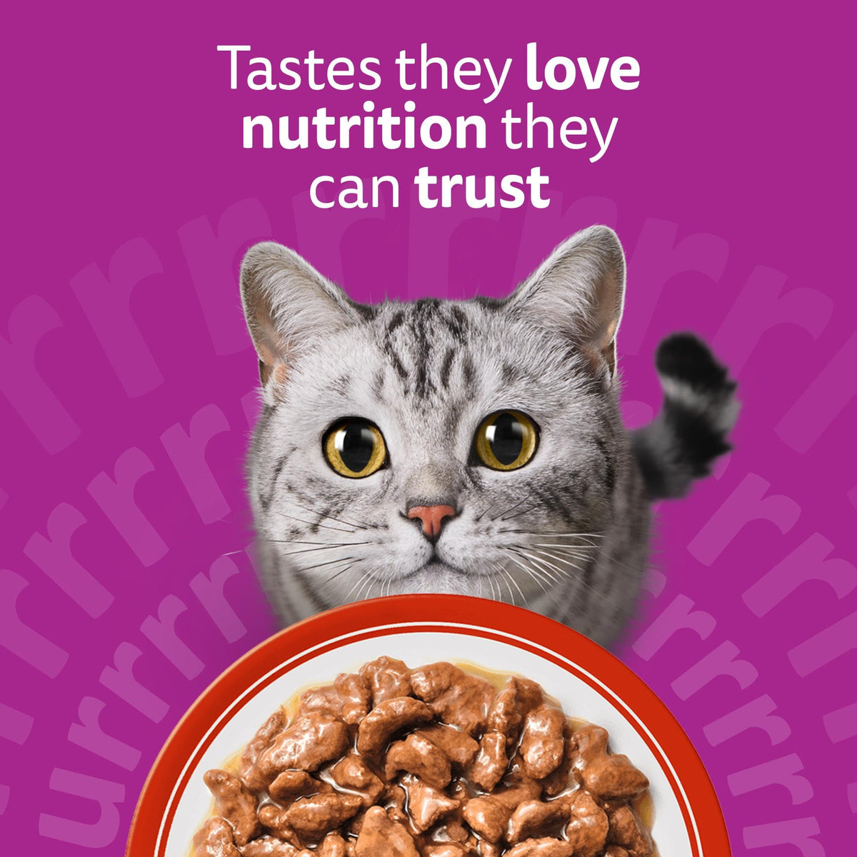 WHISKAS Adult Wet Cat Food in Jelly 40x85g Fish Favourites