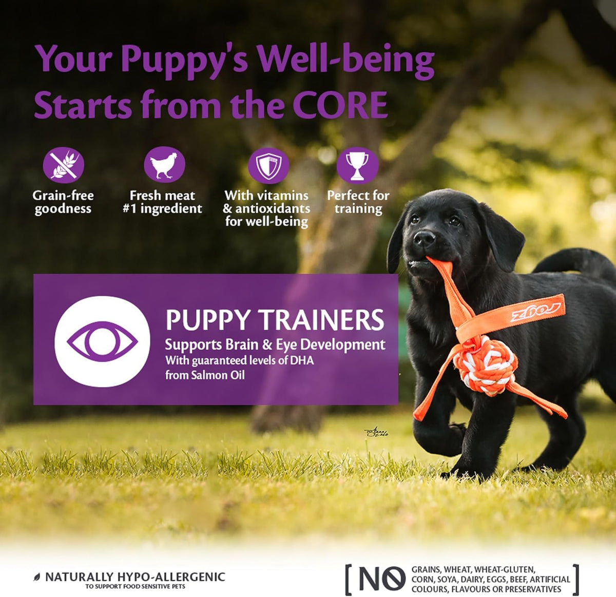 Wellness CORE Puppy Trainers 170g, Chicken & Carrots – Soft Dog Treats