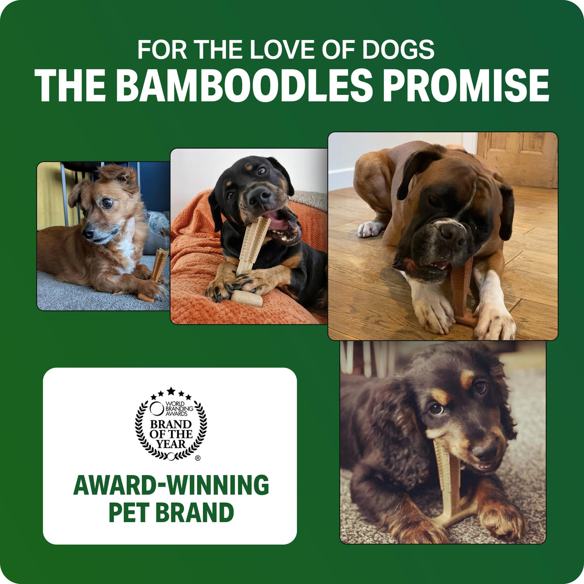 Bamboodles T-Bone Dog Chew Toy – Small | Chicken Flavour | Long Lasting Chew toy for Small Dogs | Durable Chew Toy to Satisfy Chewing Instincts