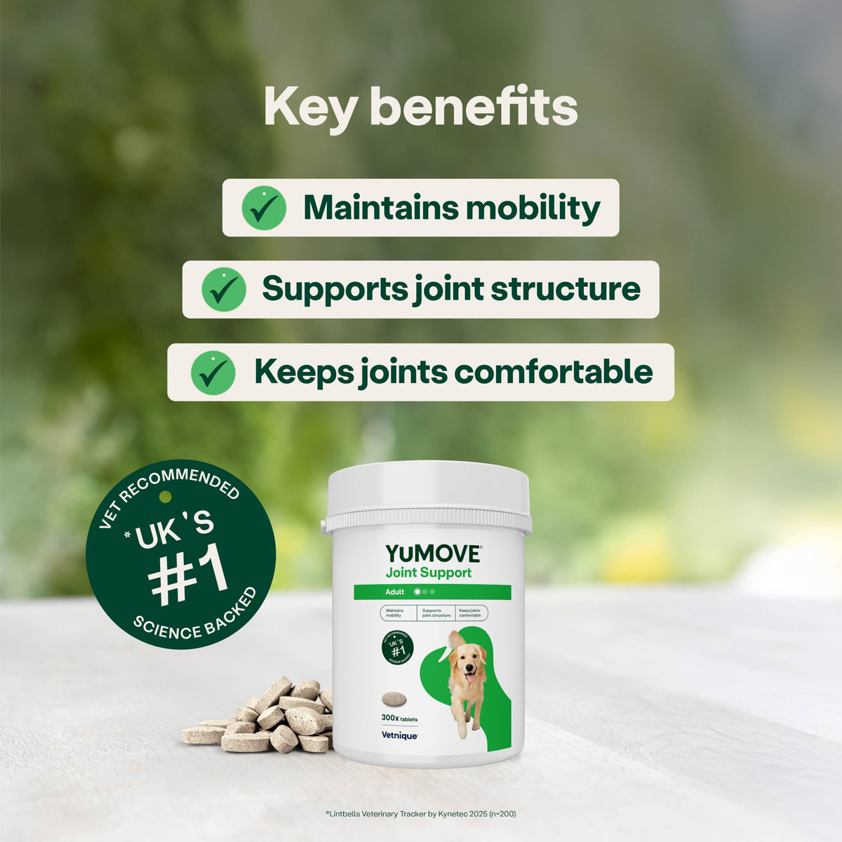 YuMOVE Joint Supplement for Dogs, Higher Strength for Joint Care, Essential Dog Hip and Joint Support for Adult Dogs Aged 6 to 8, 120 Tablets - Eco Friendly and Letter Box Ready Packaging