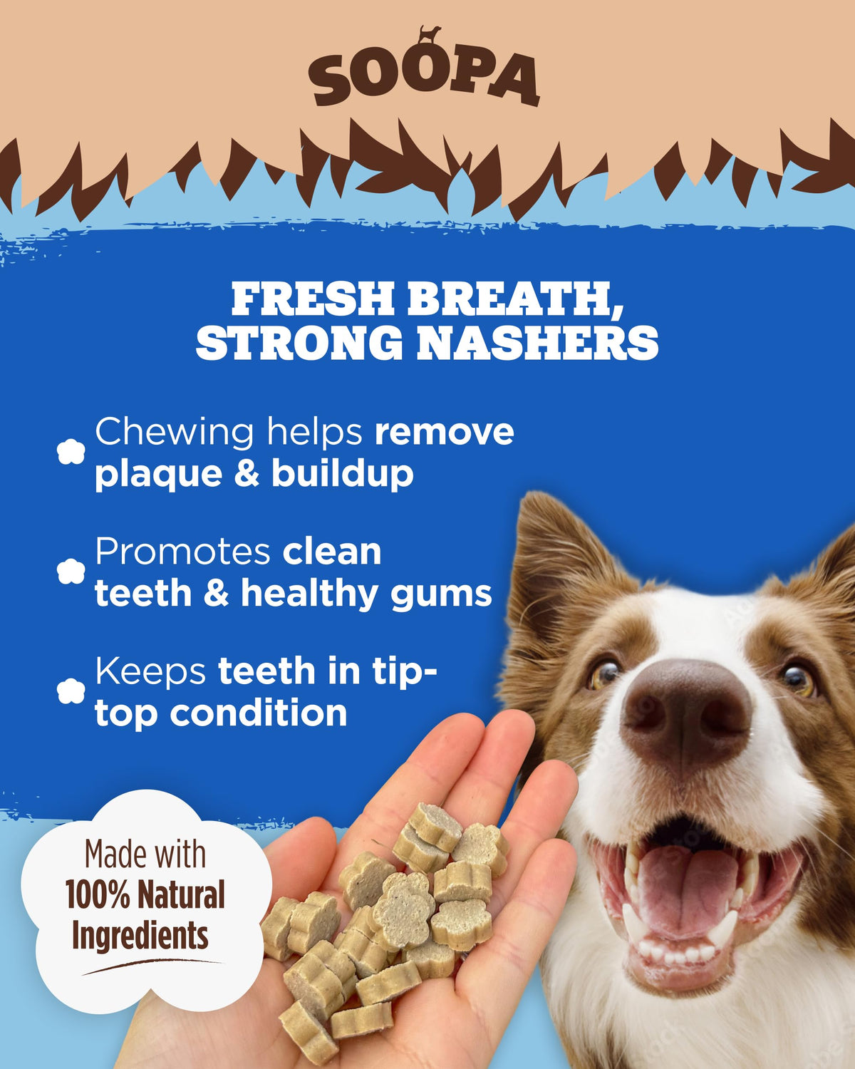 Soopa Strawberry Dog-Quiri Healthy Bites, Dog Training Treats, 50 g, 1-Pack