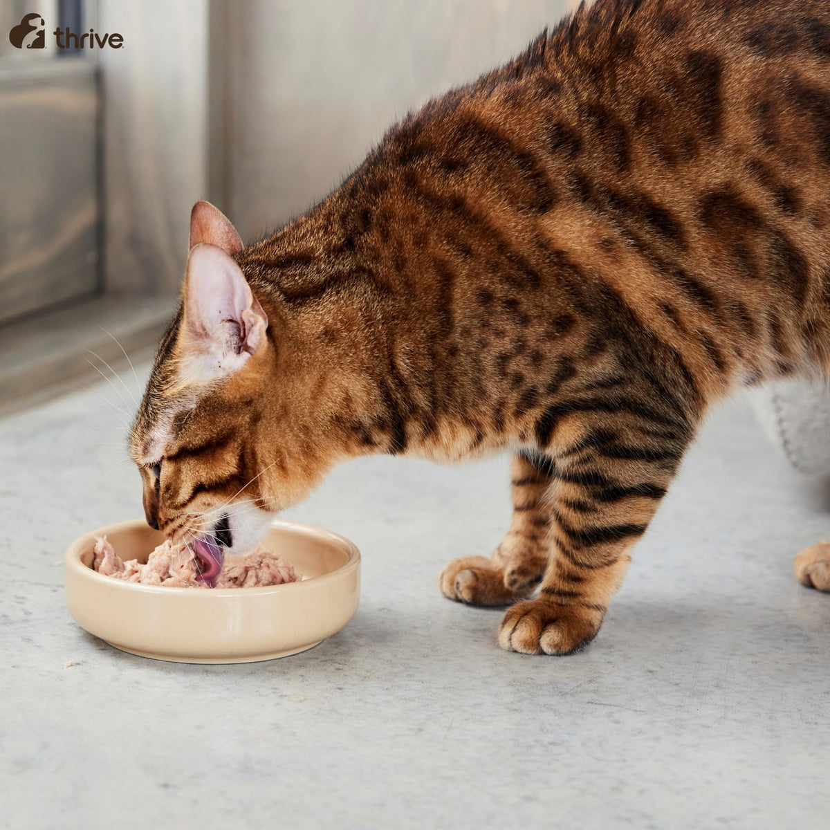 Thrive Complete Chicken Breast Wet Cat Food – Adult & Senior – 6 x 75g Cans
