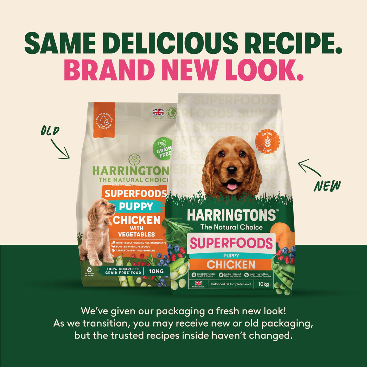 Harringtons Superfoods Complete Grain Free Dry Adult Dog Food Salmon with Veg 12kg - Made with All Natural Ingredients (Packaging may vary)
