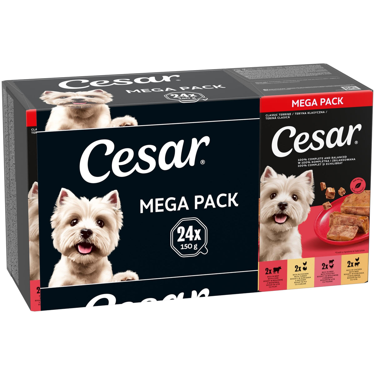 CESAR Pouch Selection in Jelly, Fresh Adult Wet Dog Food Pouches in Delicious Jelly with Succulent Meats and Vegetables, 48 x 100 g