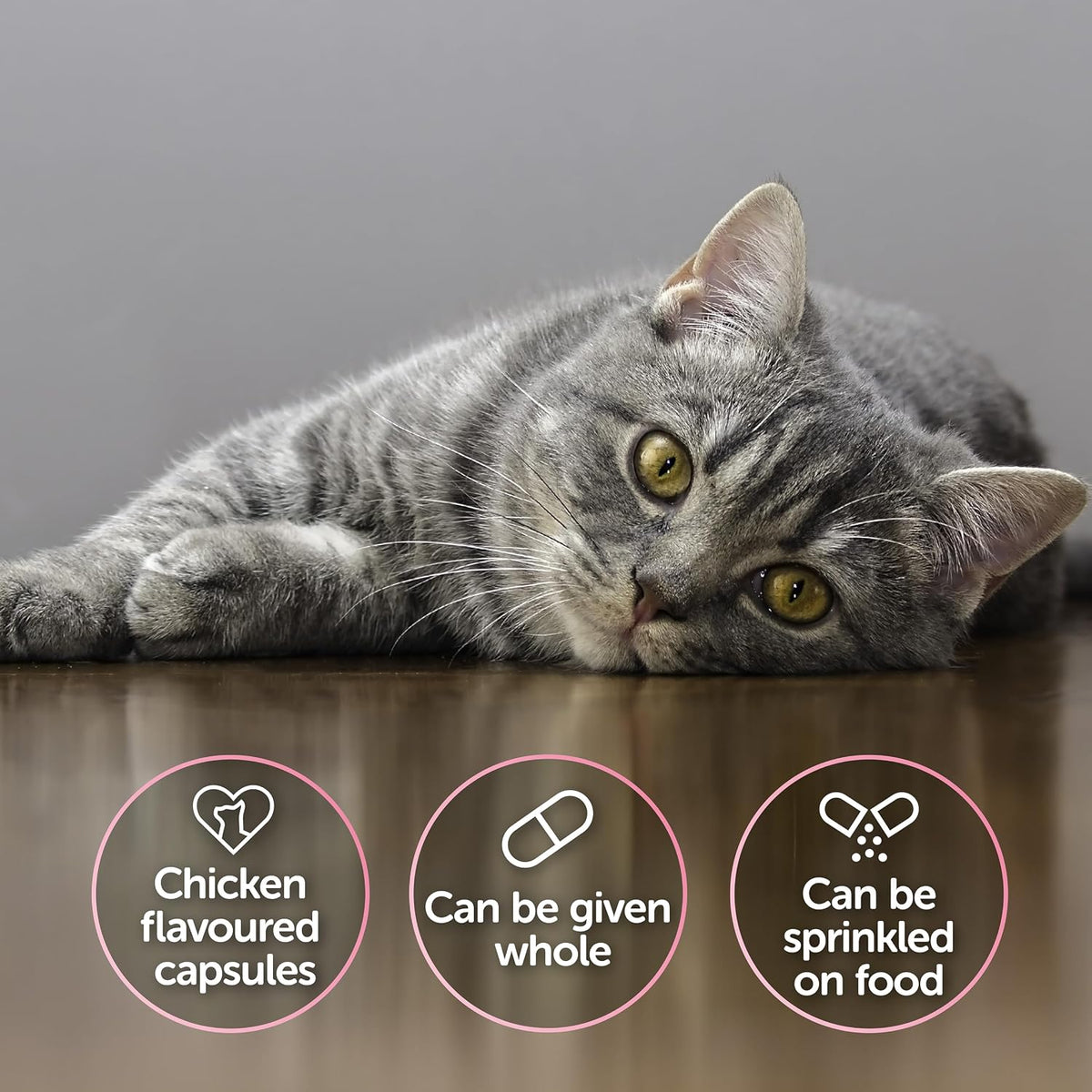 Protexin Veterinary Cystophan for Cats, Urinary & Bladder Health Supplement with N-acetyl-D-glucosamine, Meat-Free Chicken Flavour Capsules, 30 Capsules