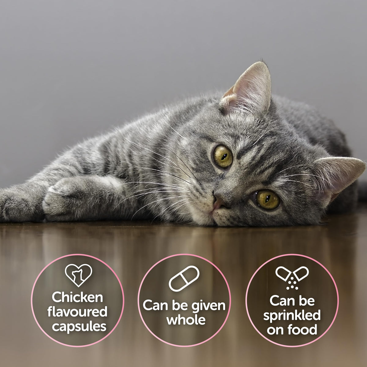 Protexin Veterinary Cystophan for Cats, Urinary & Bladder Health Supplement with N-acetyl-D-glucosamine, Meat-Free Chicken Flavour Capsules, 30 Capsules