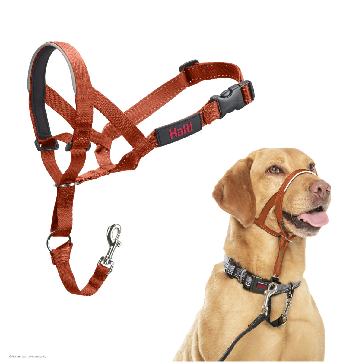 Halti Headcollar for Dogs | Size 3, Black