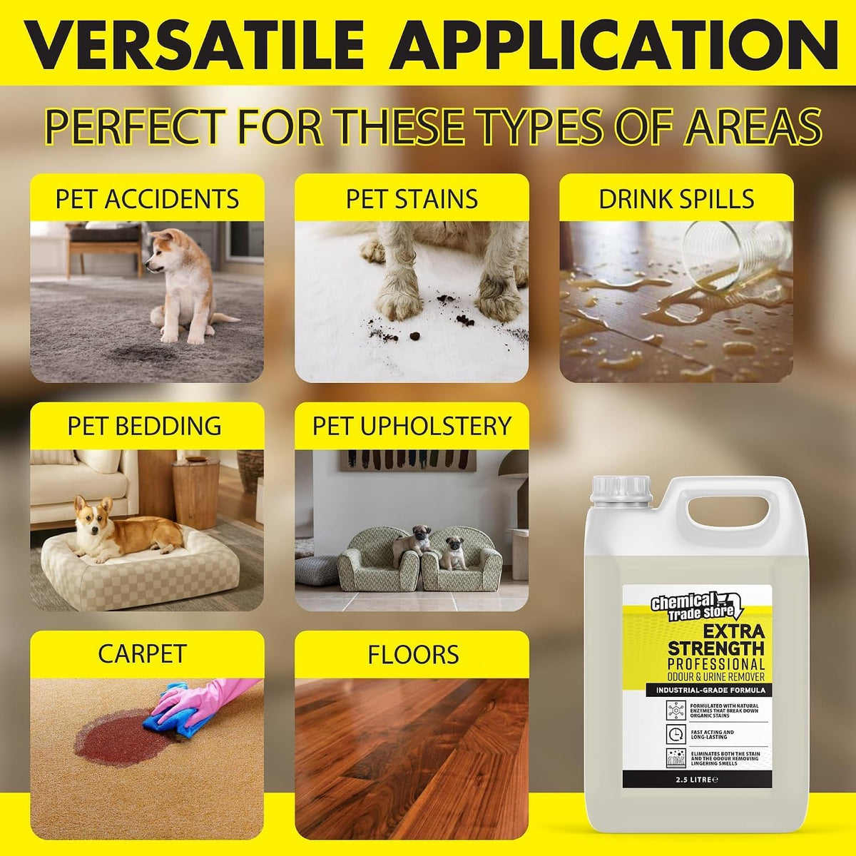 Enzyme Odour & Urine Remover 2.5L - Professional Pet Stain & Smell Eliminator - Safe for Carpets, Upholstery & Hard Floors