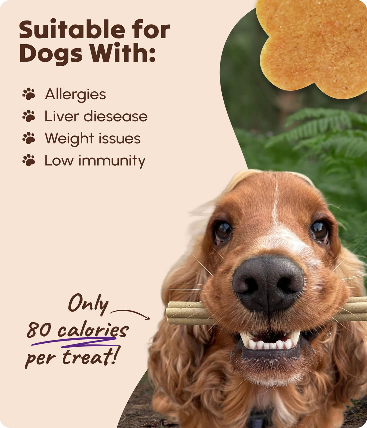 Soopa Carrot & Pumpkin Dog Dental Sticks, Chews to Clean Teeth, 100 g, 1-Pk