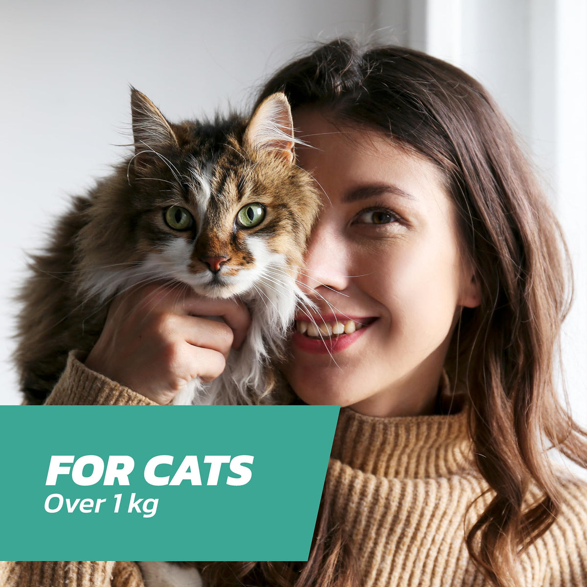 Cat Flea Treatment Spot On x 3 Pack - Flea Treatment Cat Spot On for Cats & Kittens Over 1kg - 3 Pipettes, 3 Doses - Fast-Acting FleaSolve Solution