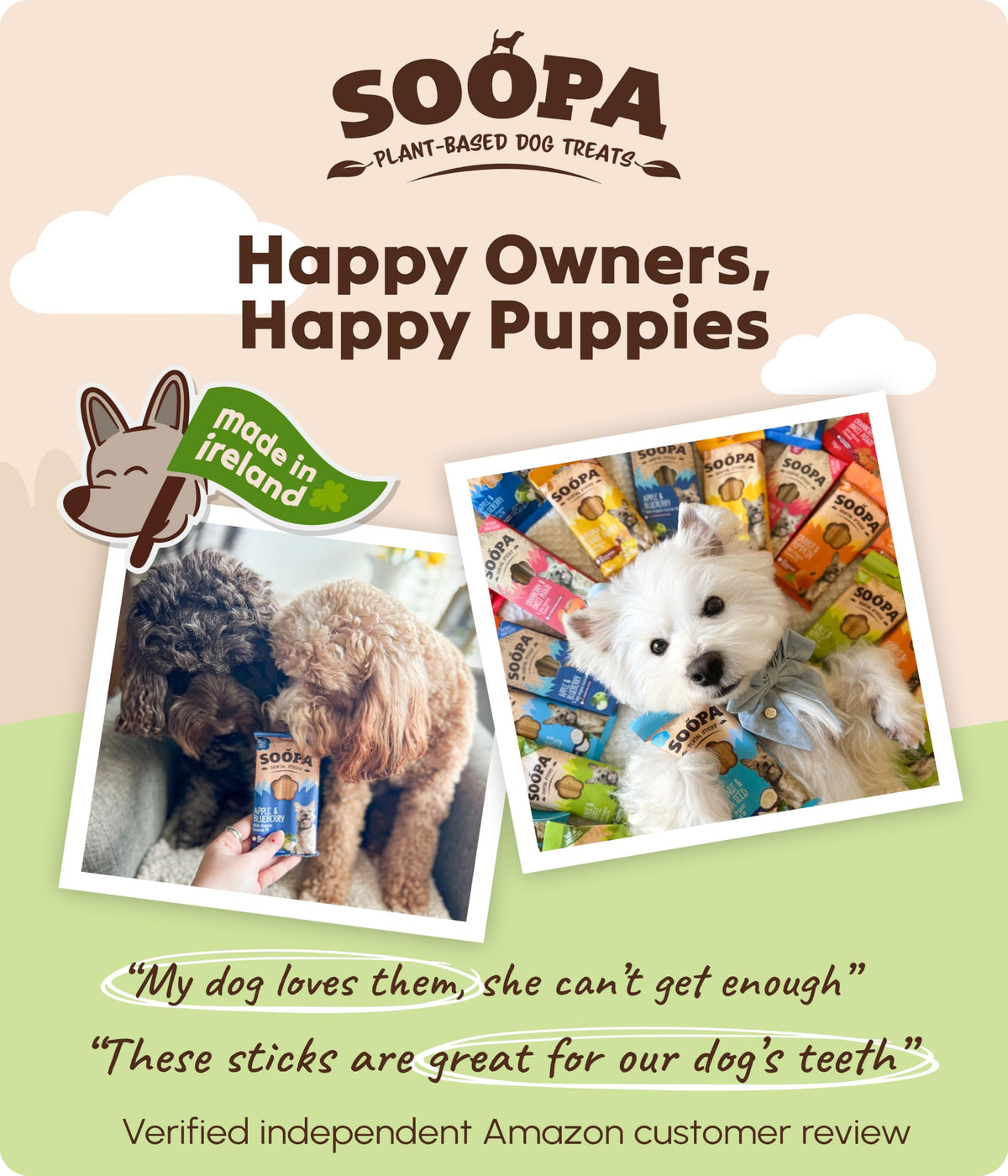 Soopa Carrot & Pumpkin Dog Dental Sticks, Chews to Clean Teeth, 100 g, 1-Pk