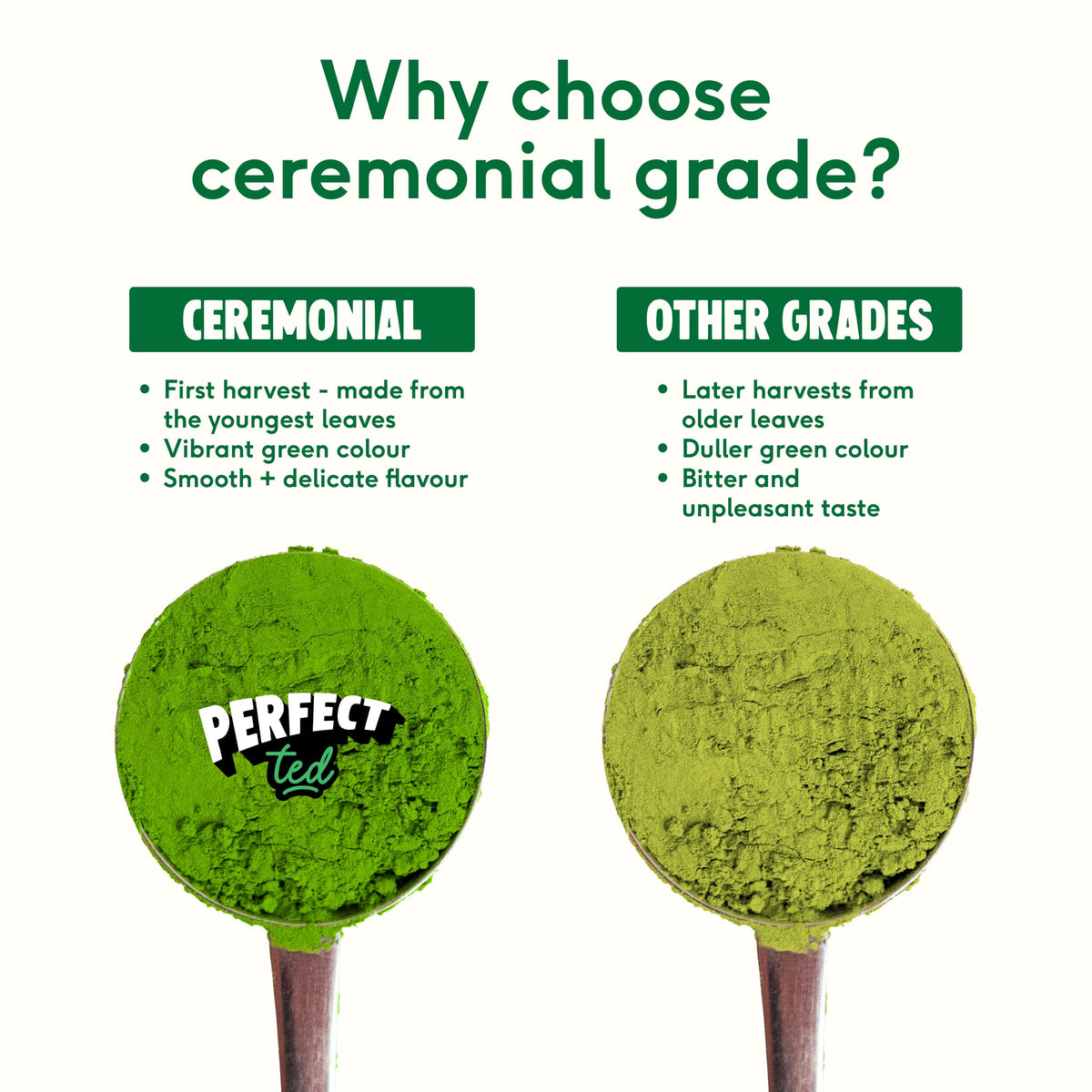 PerfectTed Matcha Powder | Organic Ceremonial Grade Japanese Matcha | 30g