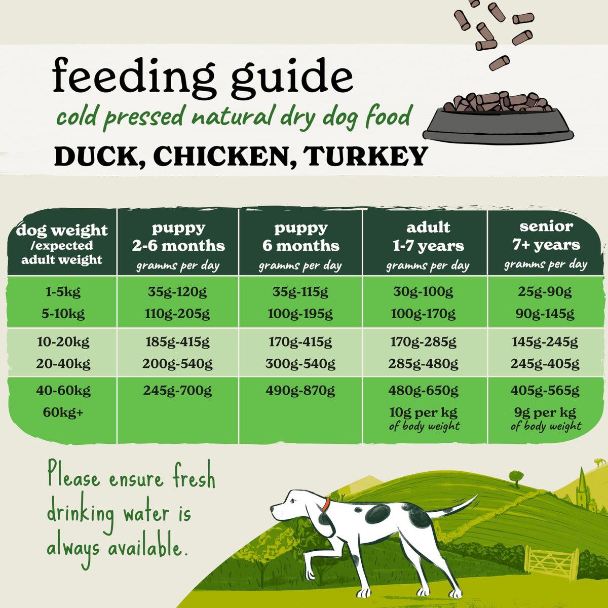 Forthglade Dry Dog Food, Cold Pressed (6kg), Hypoallergenic and Grain Free Dog Food, Salmon & Vegetables, Natural Senior, Adult and Puppy Meal Vet, Approved For Good Gut Health