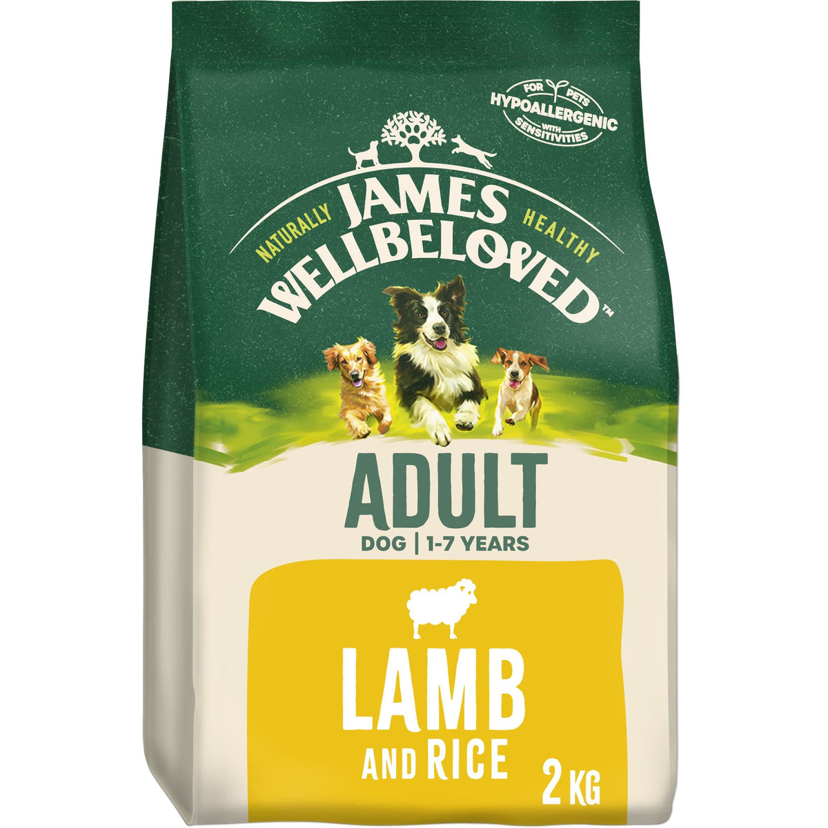 James Wellbeloved Dog Adult Hypoallergenic Dry Food Turkey and Rice 2 kg