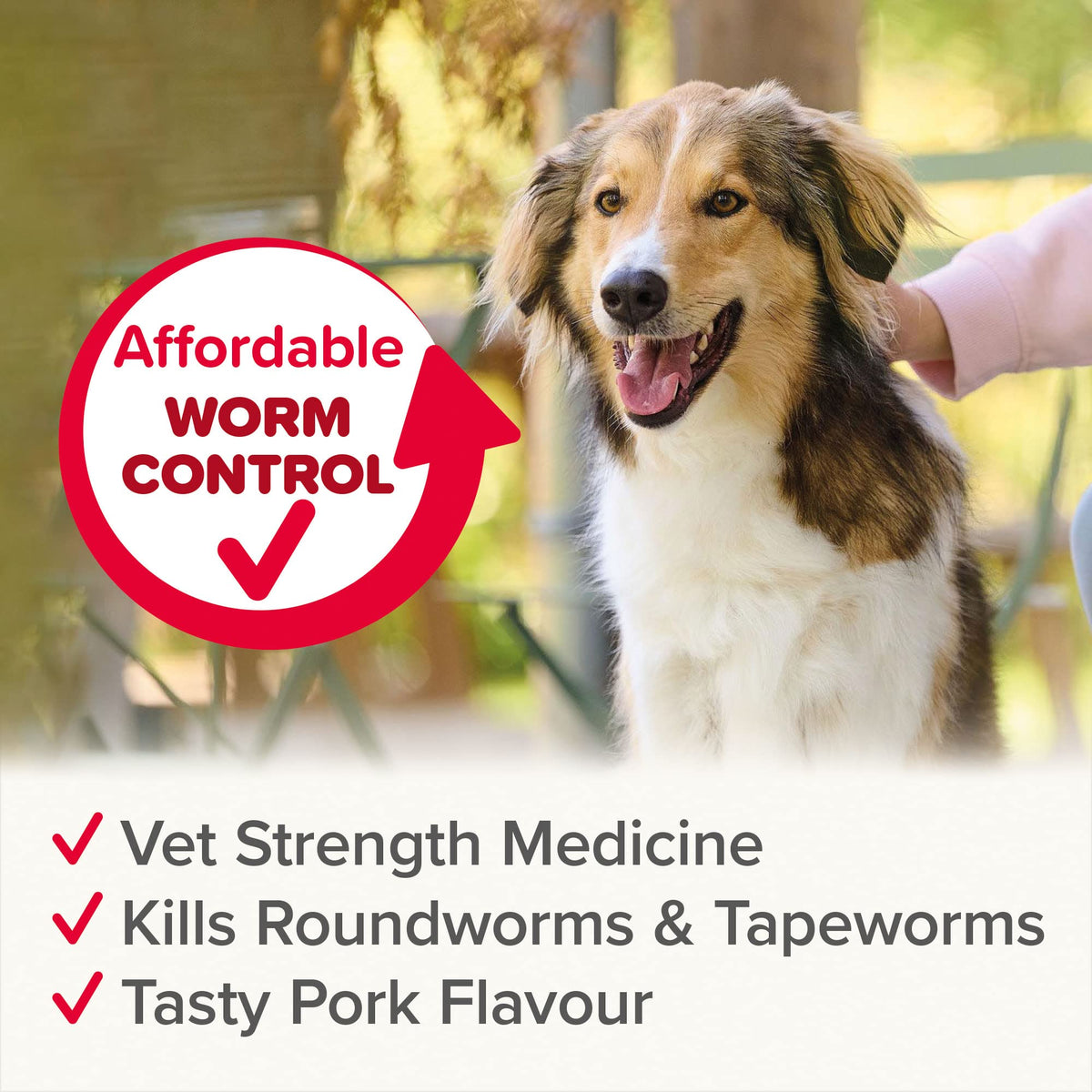 Beaphar - WORMclear® Tablets for Dogs up to 40kg - 4 Tablets - Kills All Common UK Intestinal Worms (Roundworms & Tapeworms) - Vet Strength Wormer - Pork-Flavoured - For dogs over 2 weeks old & 3kg