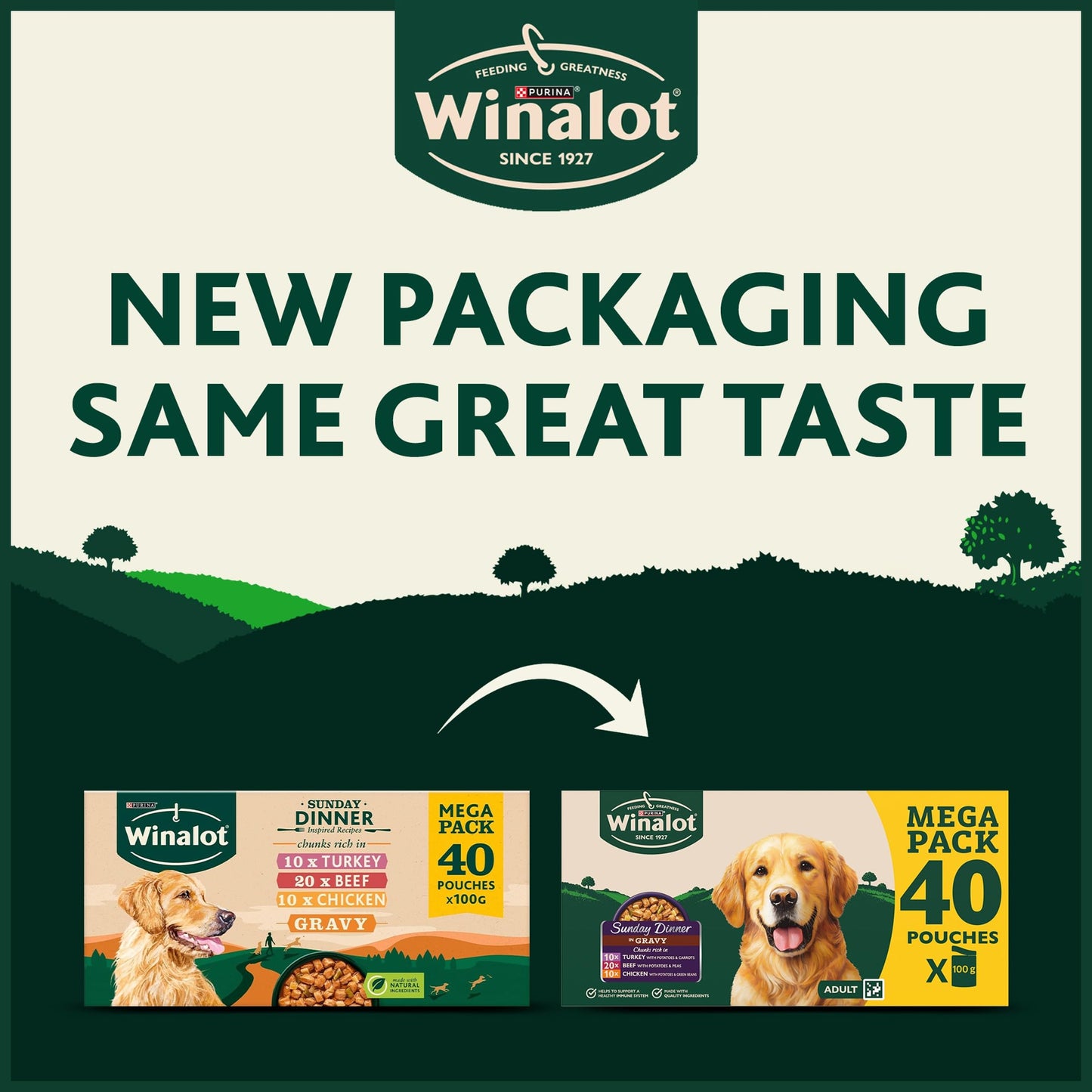 WINALOT Sunday Dinner Mixed in Gravy Wet Dog Food Pouches 40x100g
