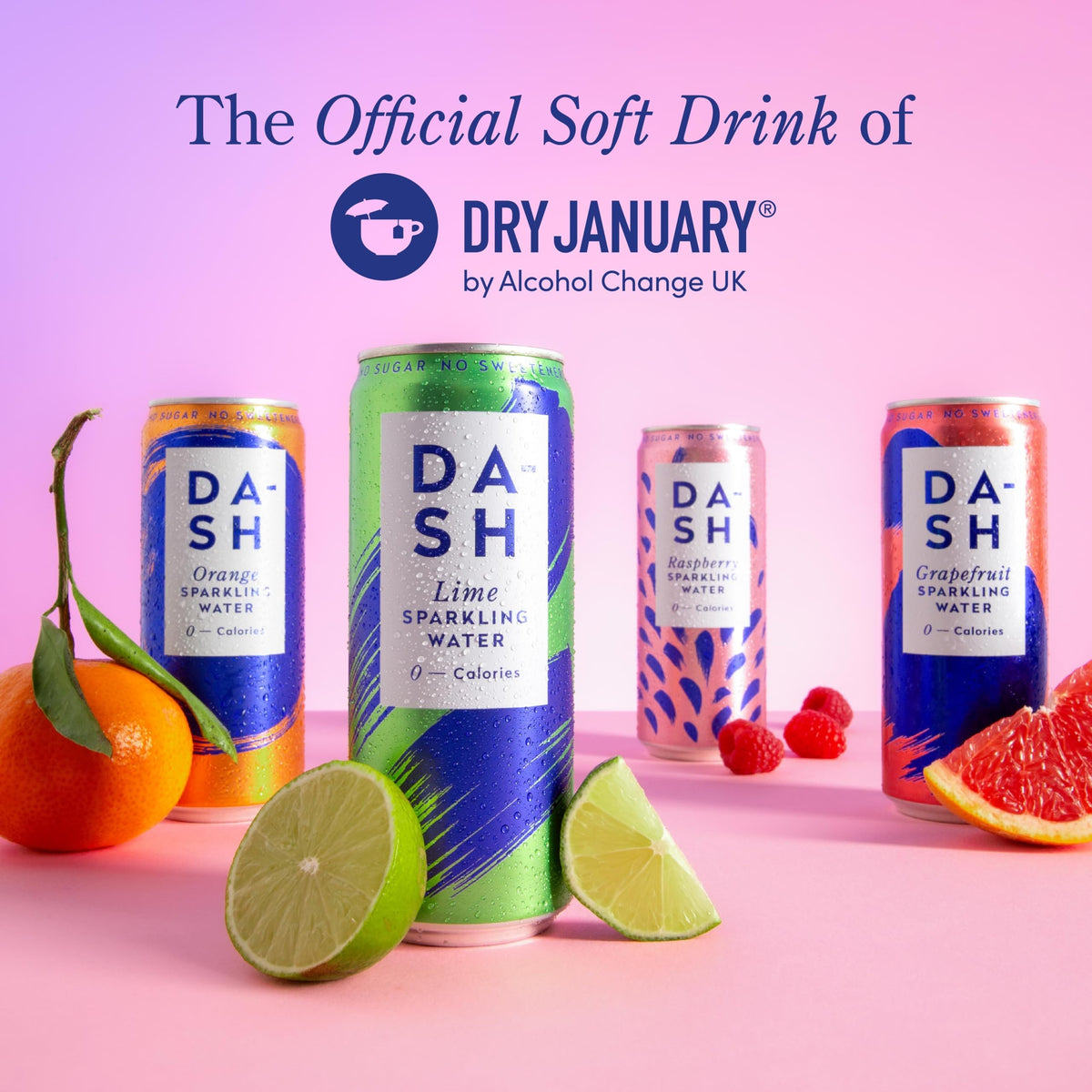 DASH Water Raspberry - 12 x Raspberry Flavoured Sparkling Spring Water - NO Sugar, NO Sweetener, NO Calories - Infused with Wonky Fruit (12 x 330ml cans)