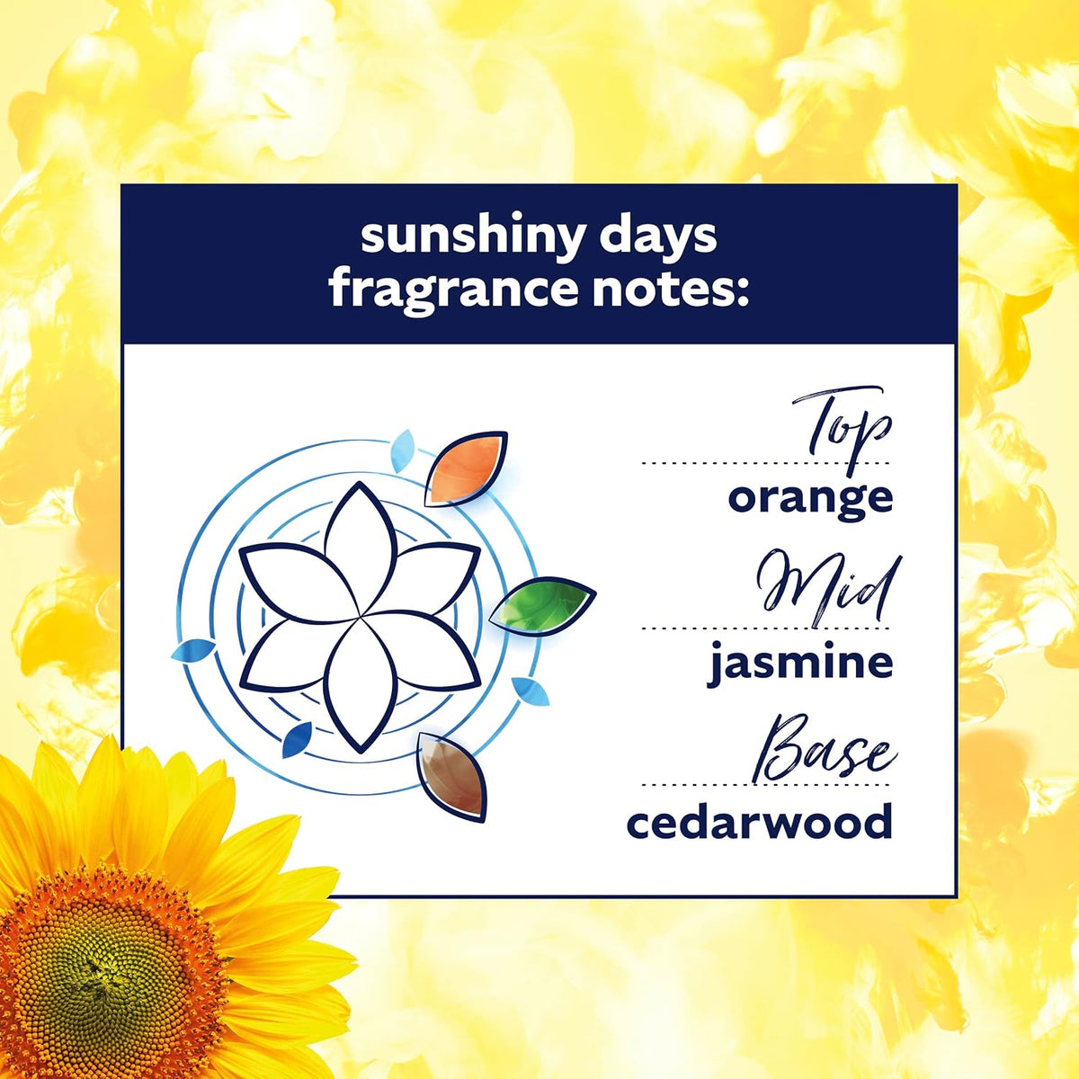 Comfort Sunshiny Days Fabric Conditioner with Stay Fresh technology for 100 days of freshness + fragrance* 4.8 L (160 washes) (Pack of 2)