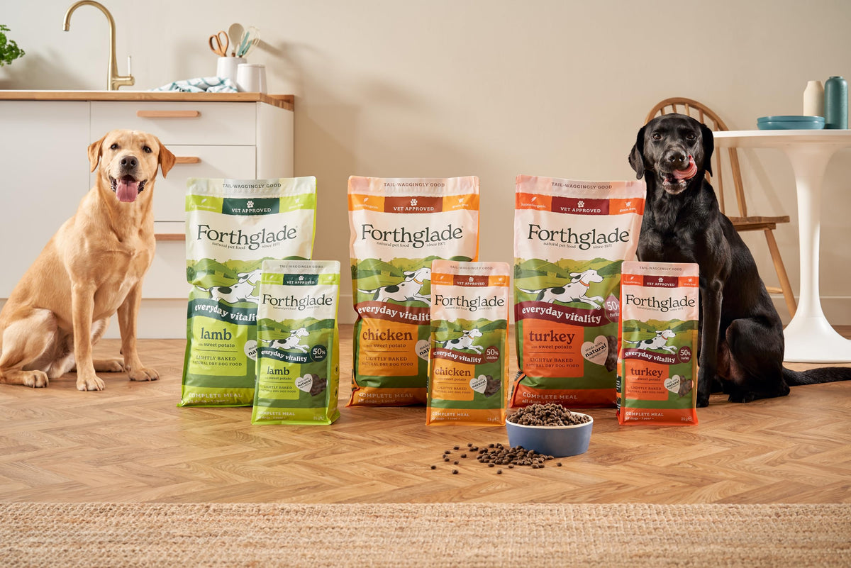 Forthglade Dry Dog Food, Lightly Baked, (2kg), Hypoallergenic and Grain Free Dog Food, Adult 1 Year +, Turkey With Sweet Potato, Completed and Balanced Meal, 50% Single Source Protein